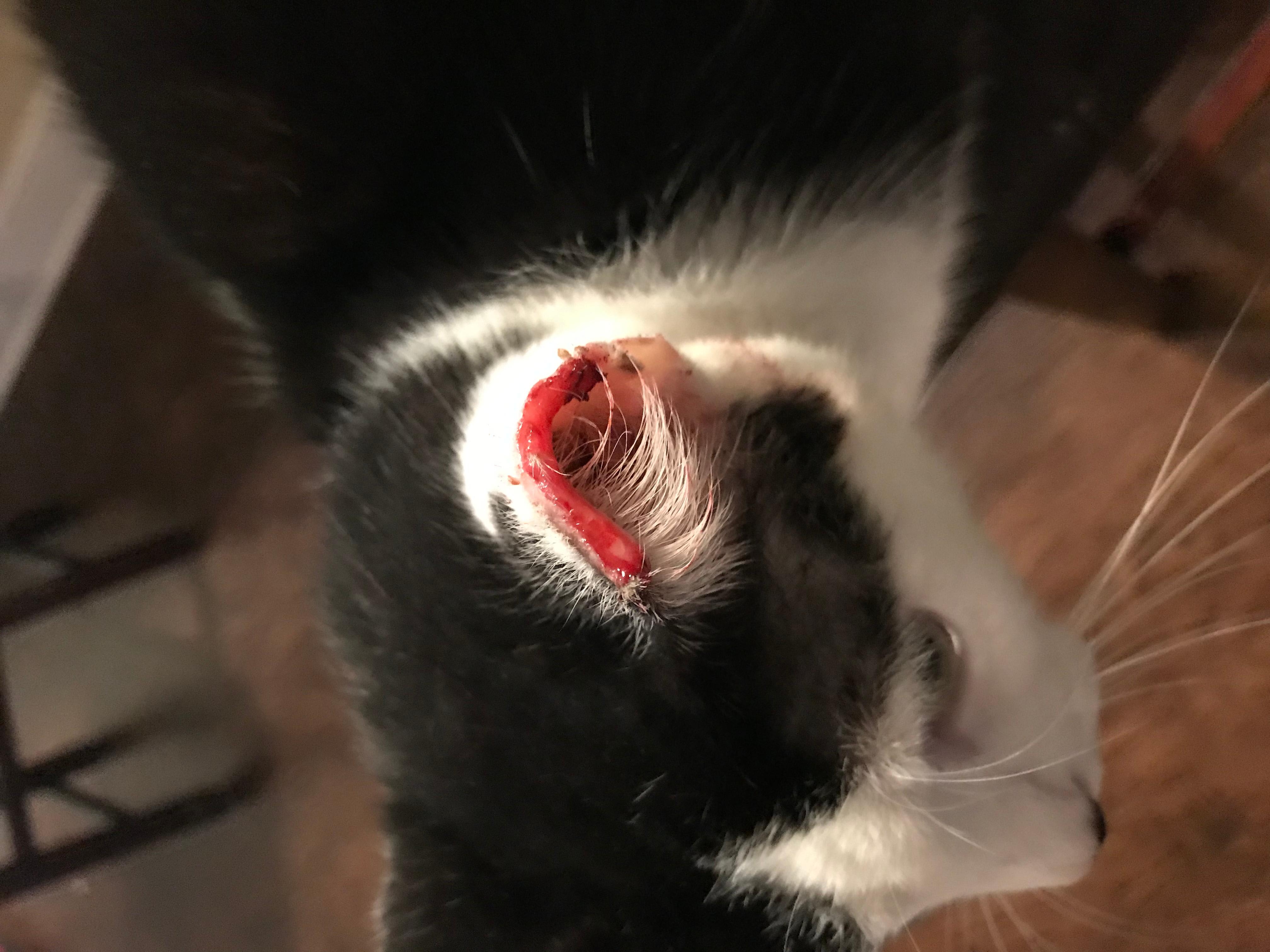 Question details sensitive content