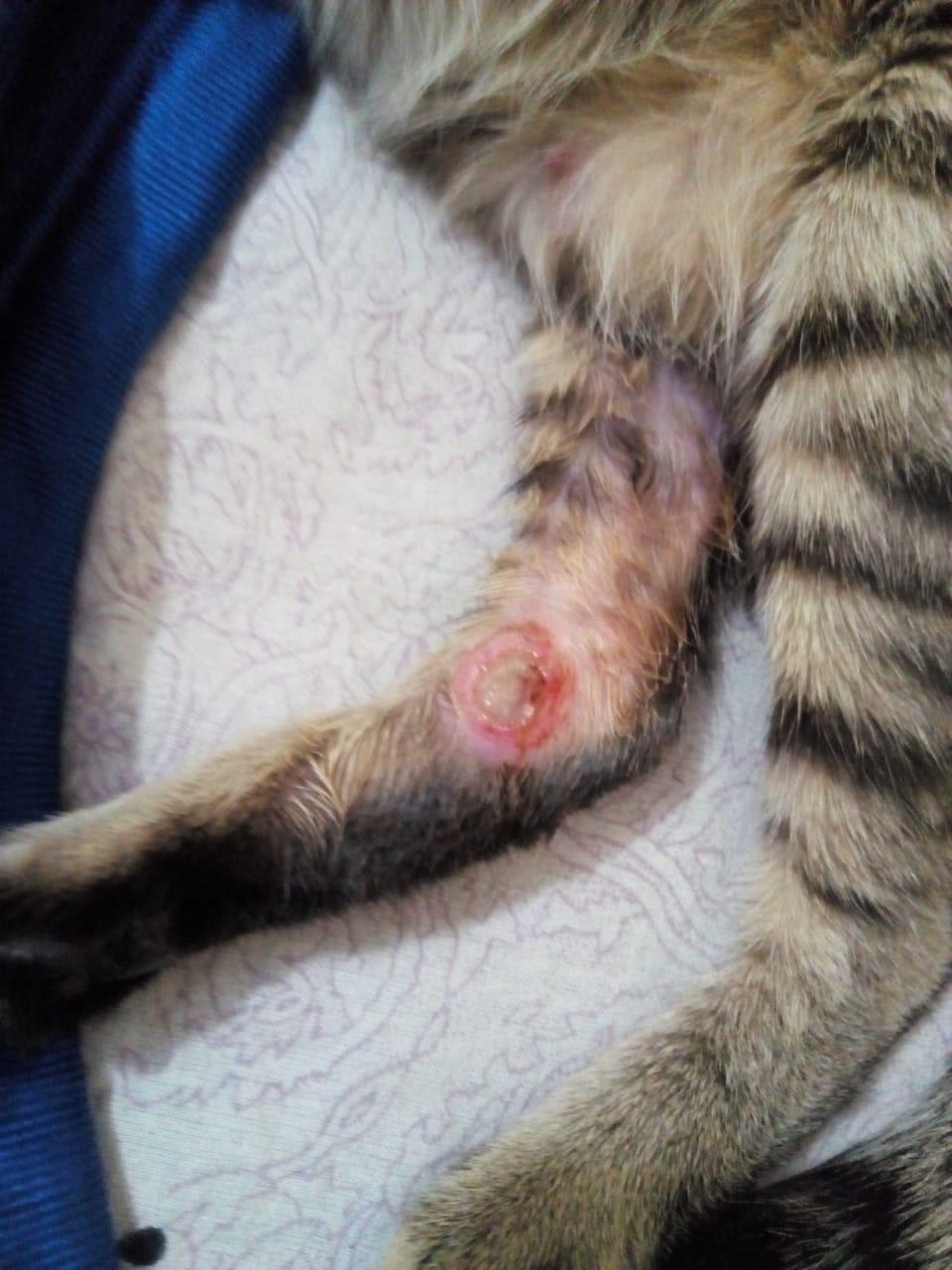 Question details sensitive content