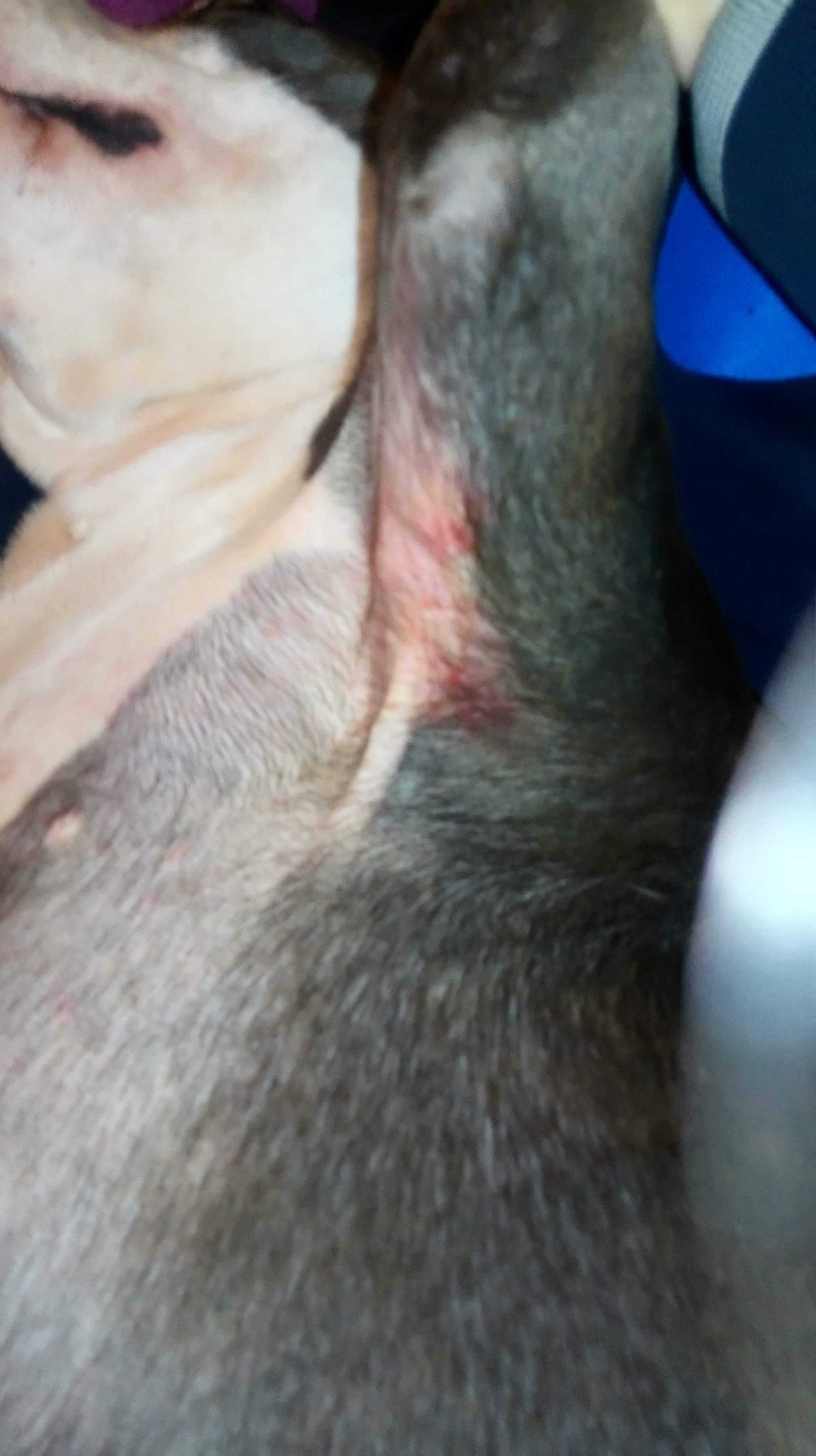 Question details sensitive content