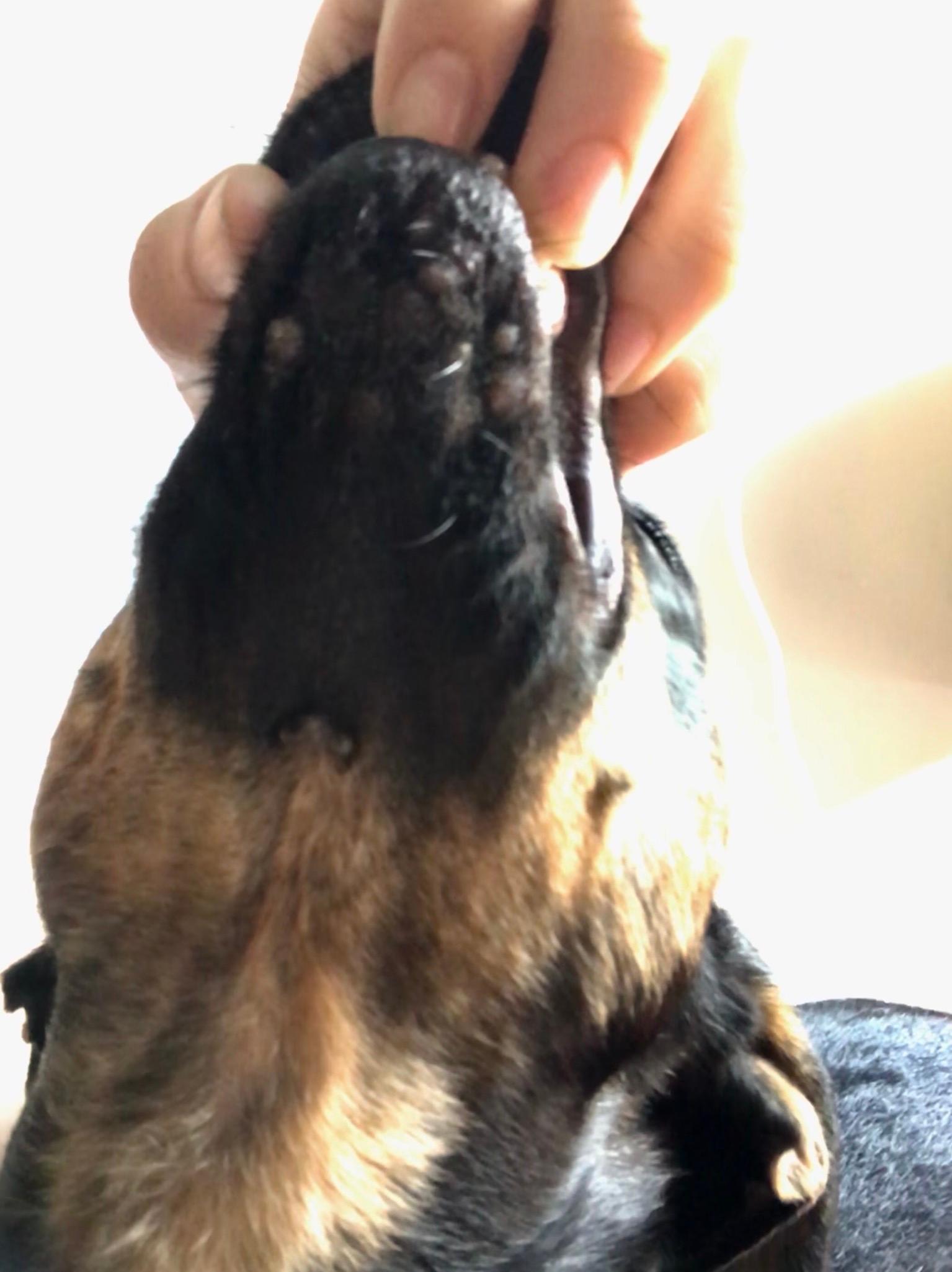 Question details sensitive content