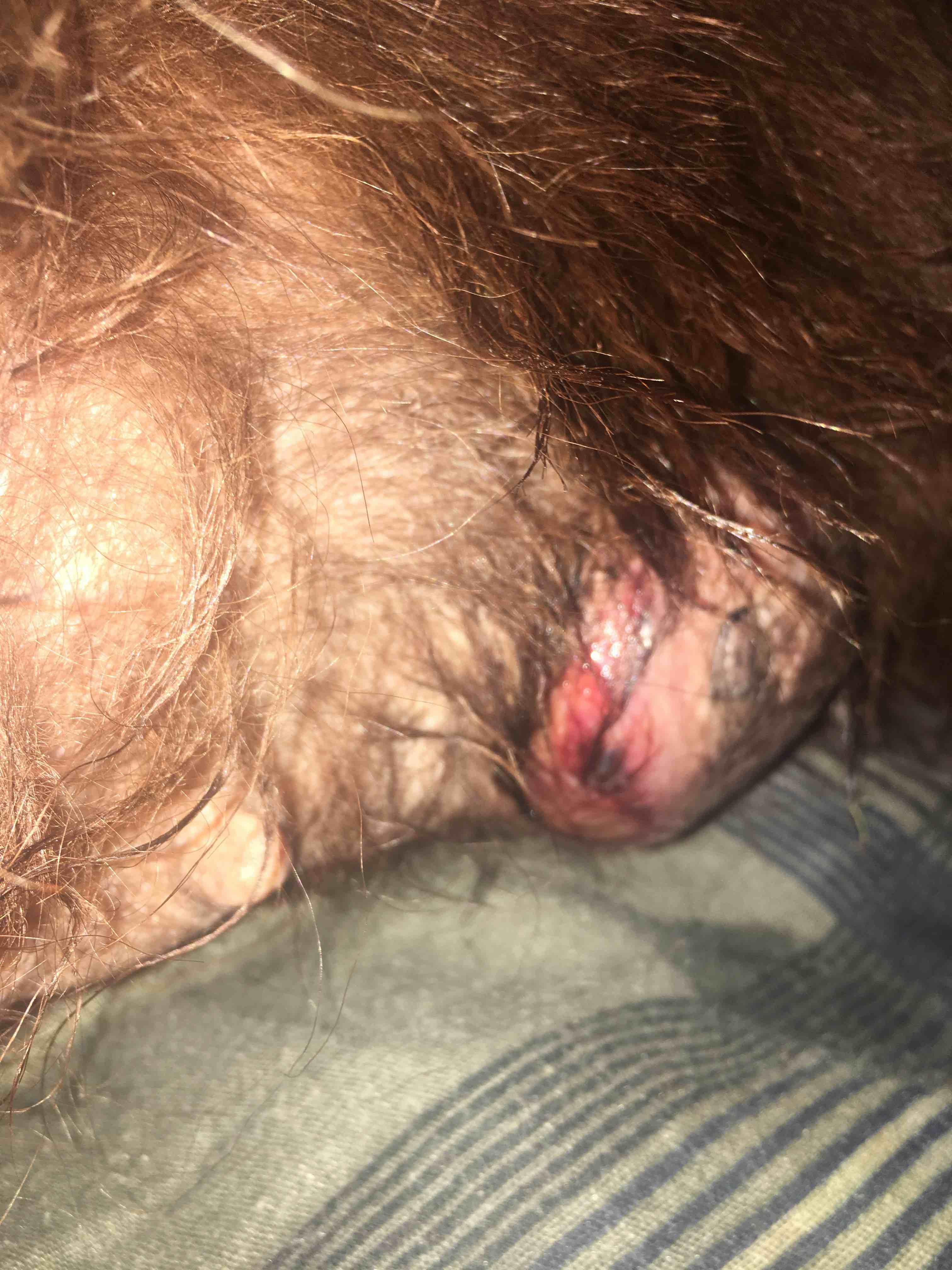 Question details sensitive content