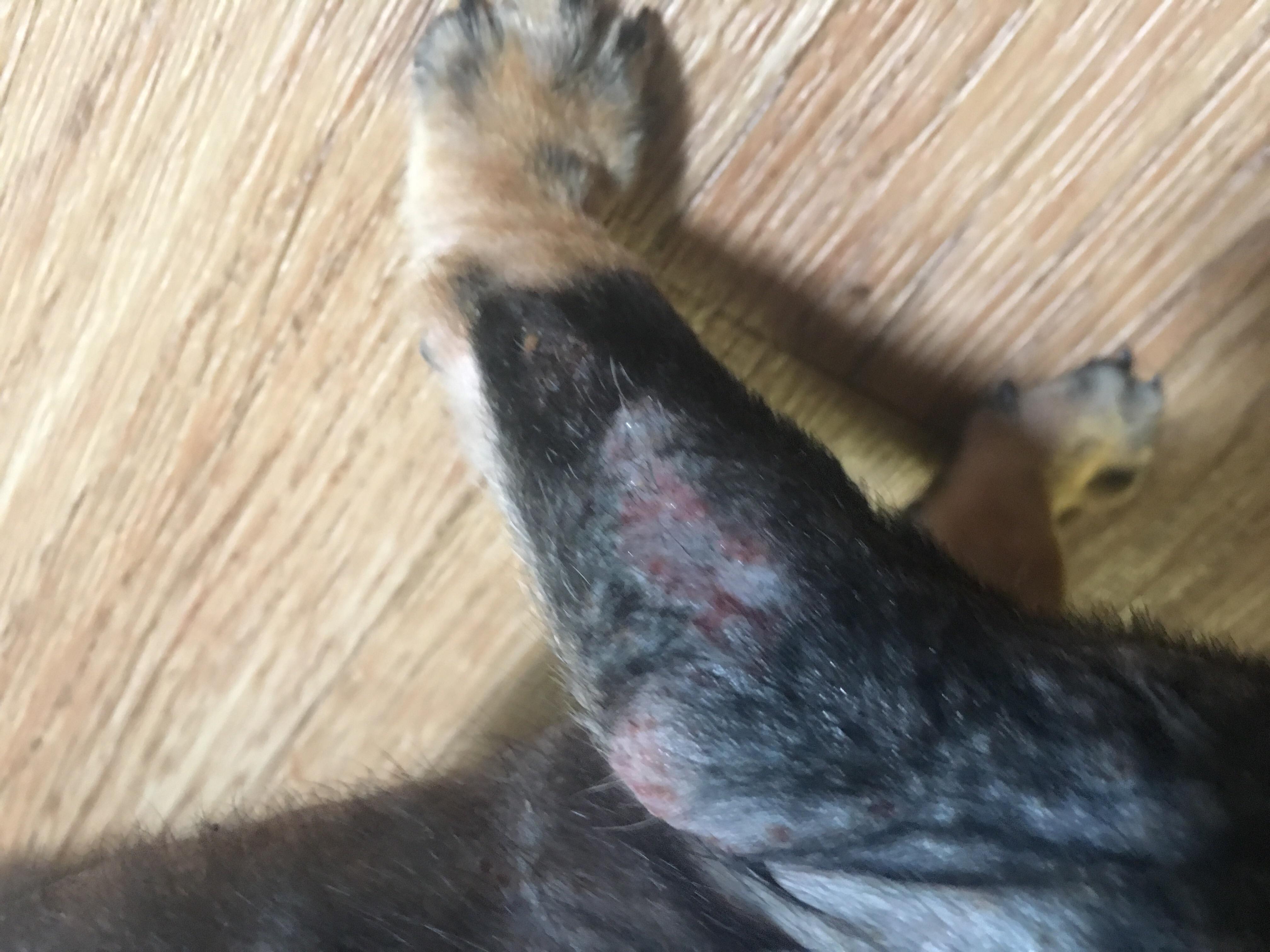 Question details sensitive content