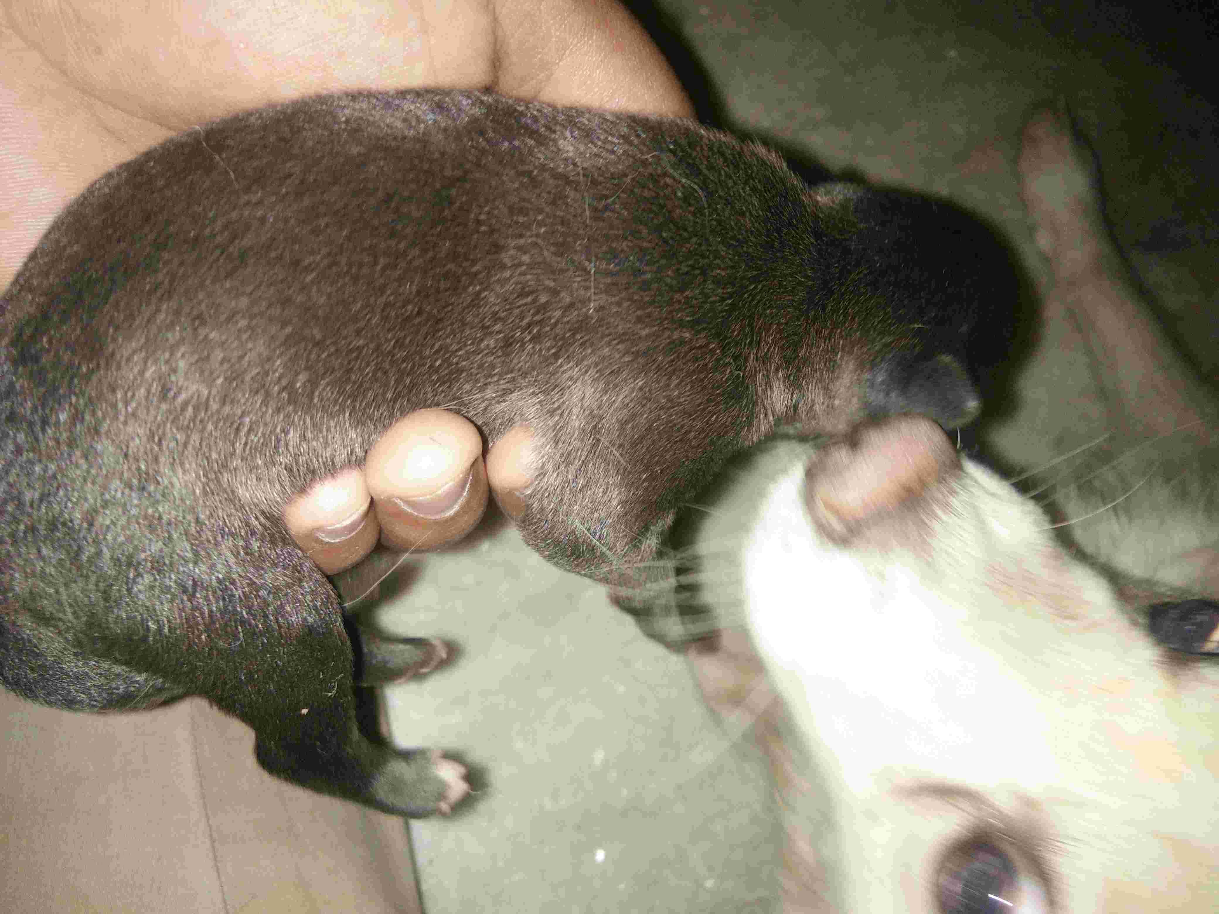 Question details sensitive content