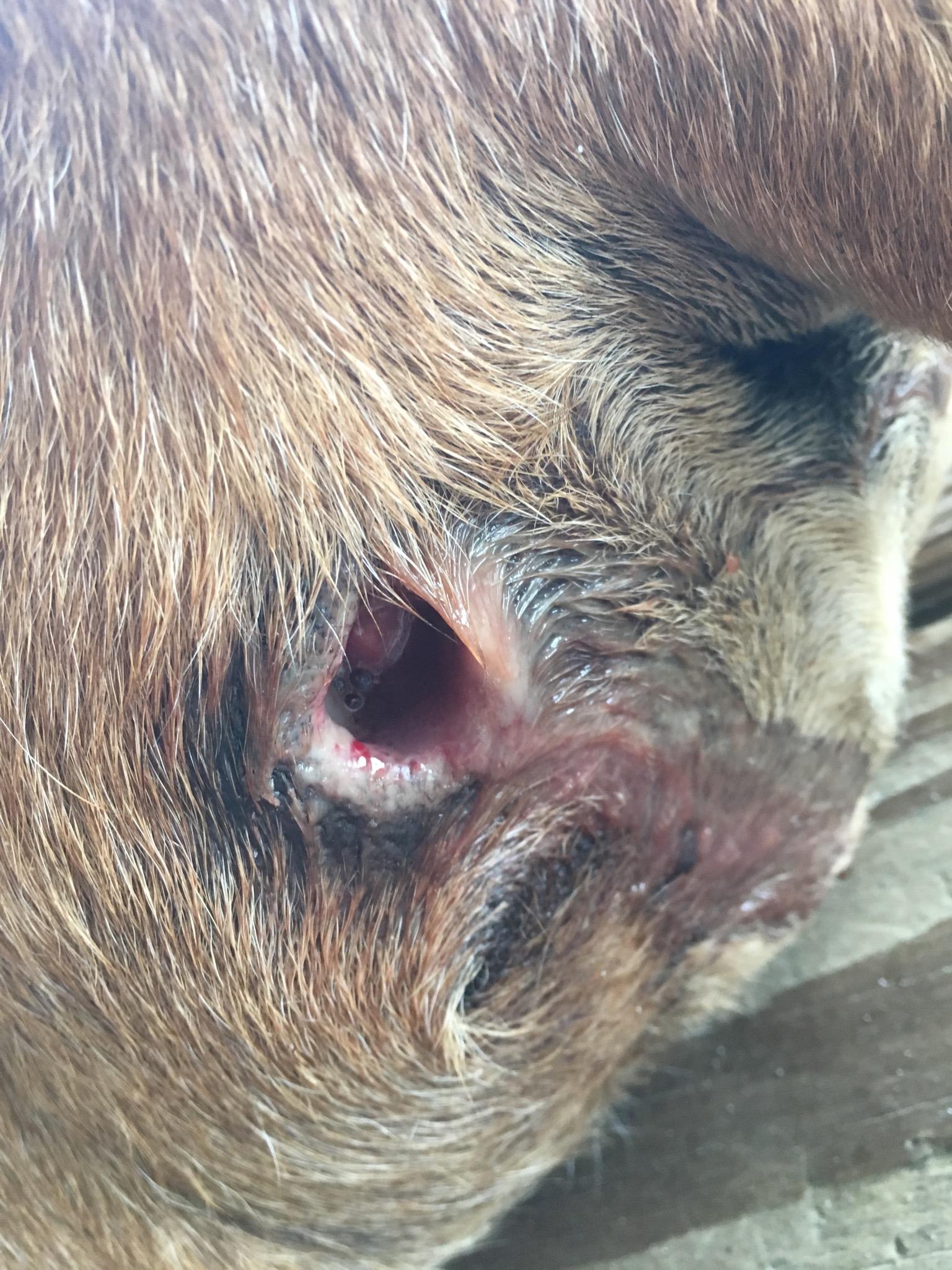 Question details sensitive content