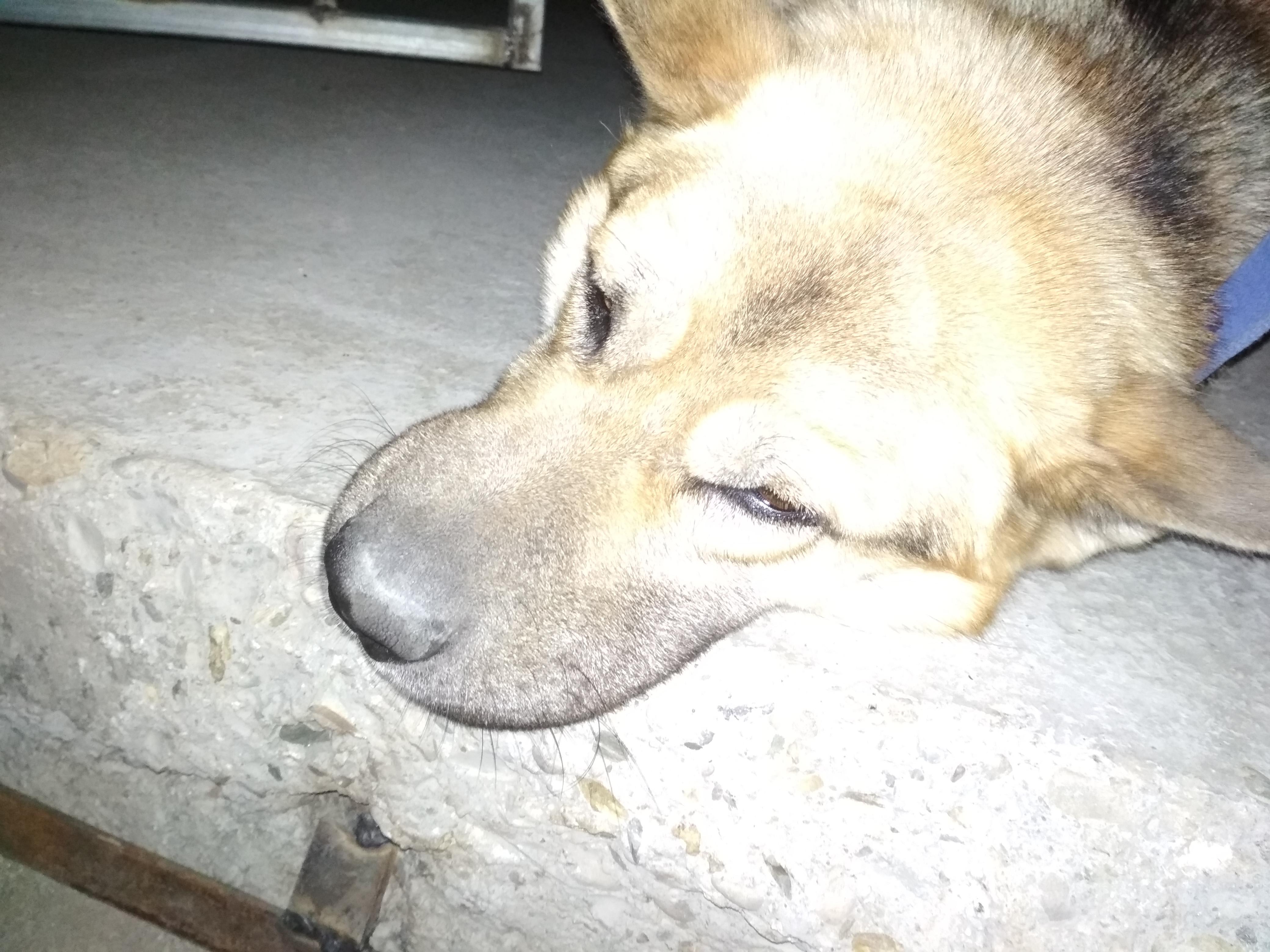 Question details sensitive content