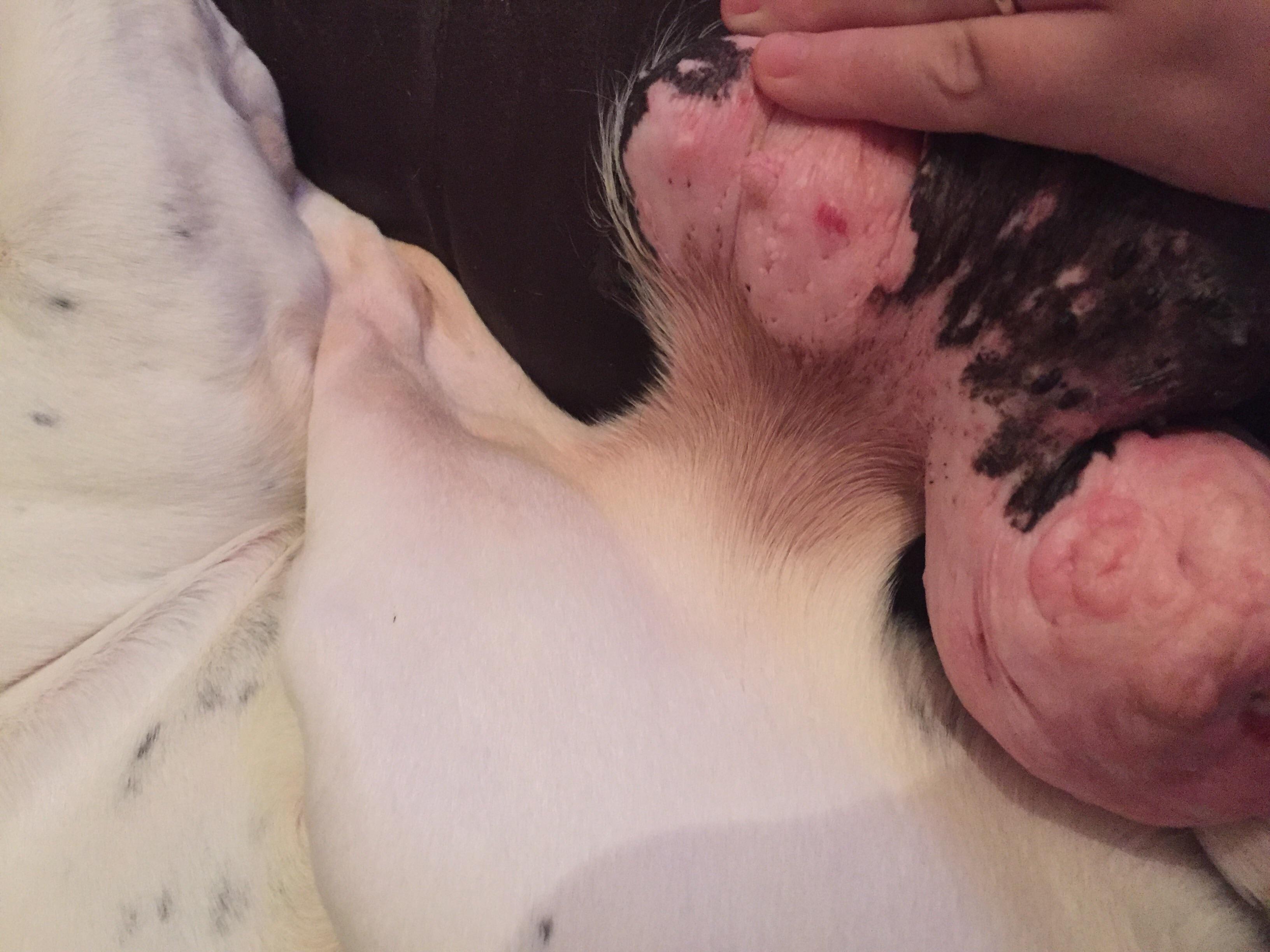 Question details sensitive content