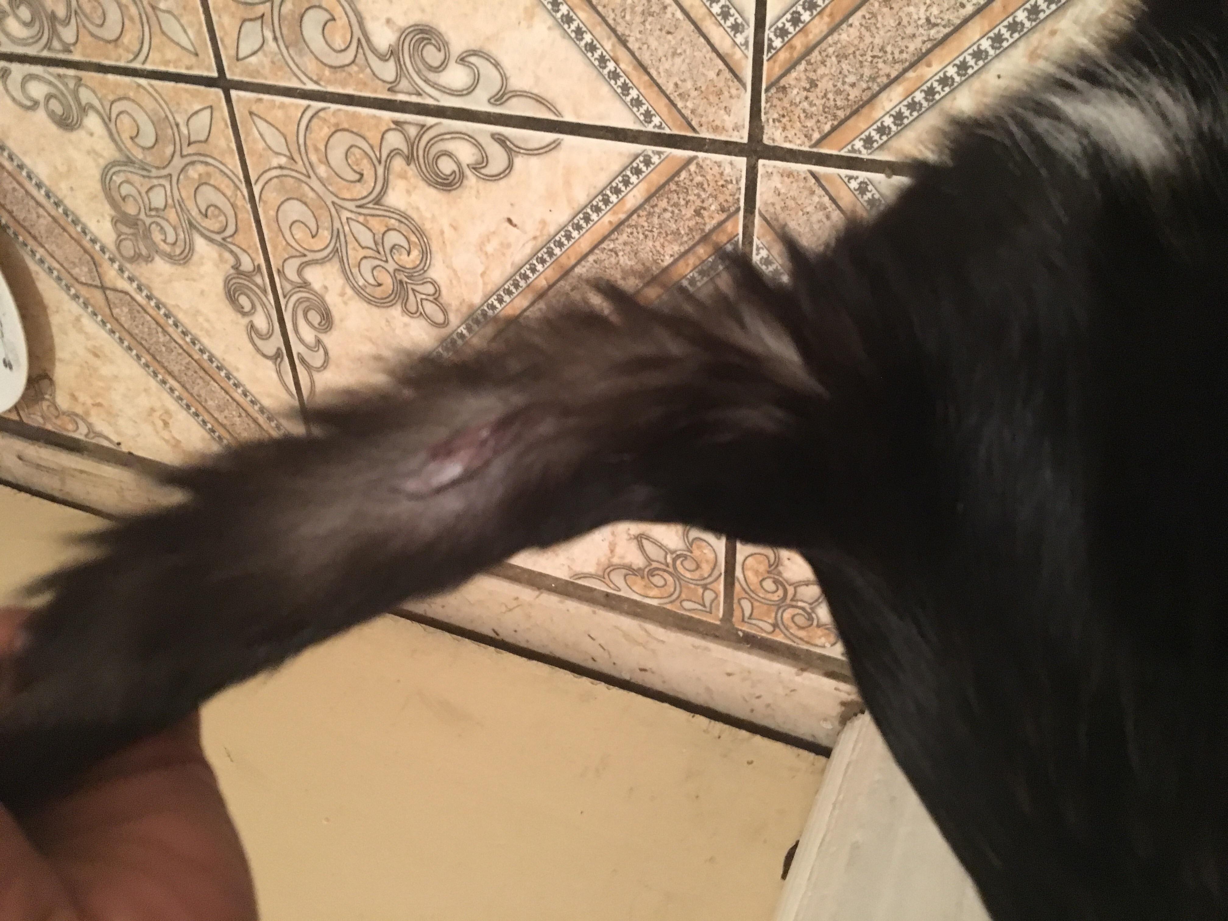 Question details sensitive content