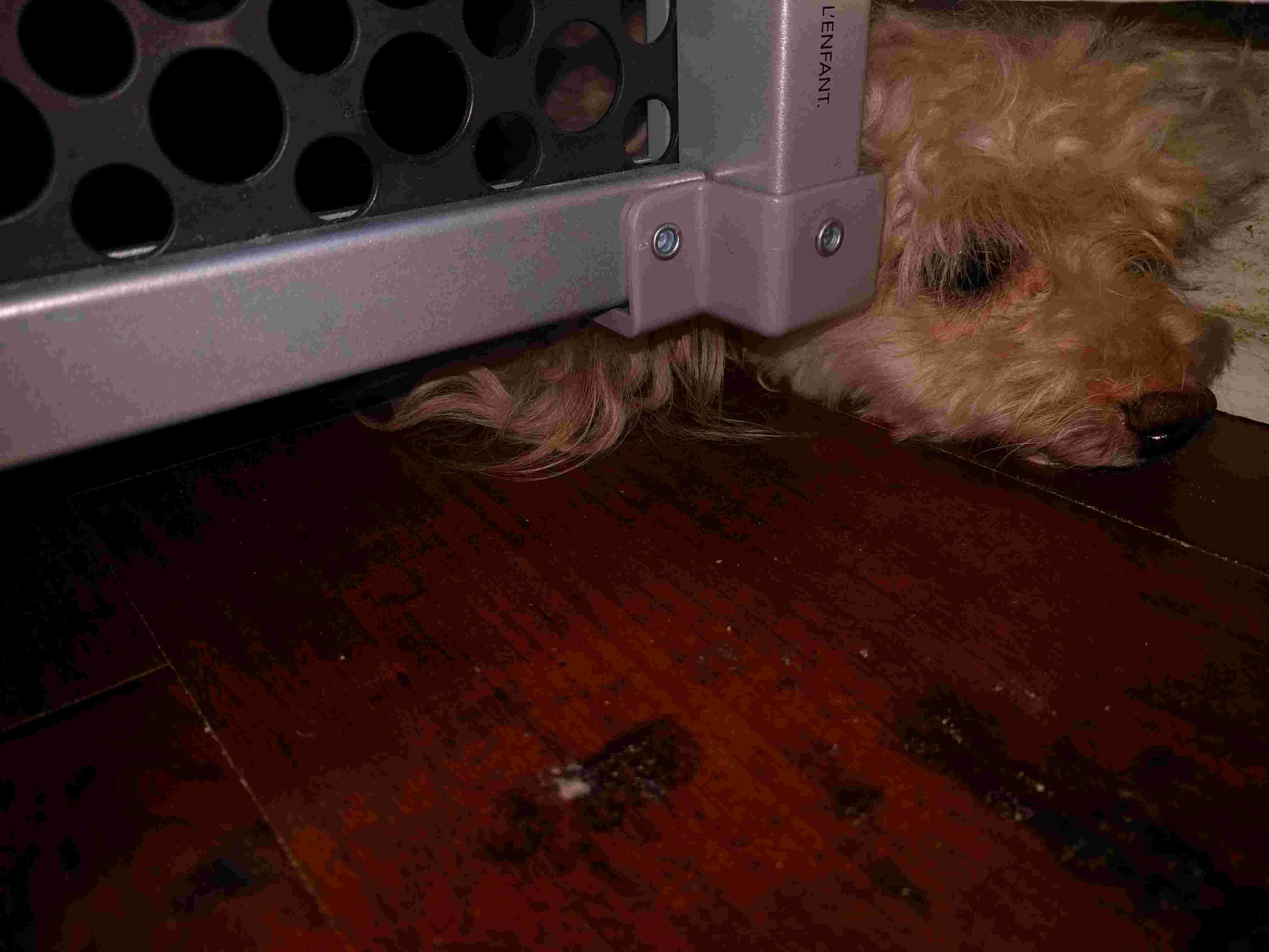 Question details sensitive content