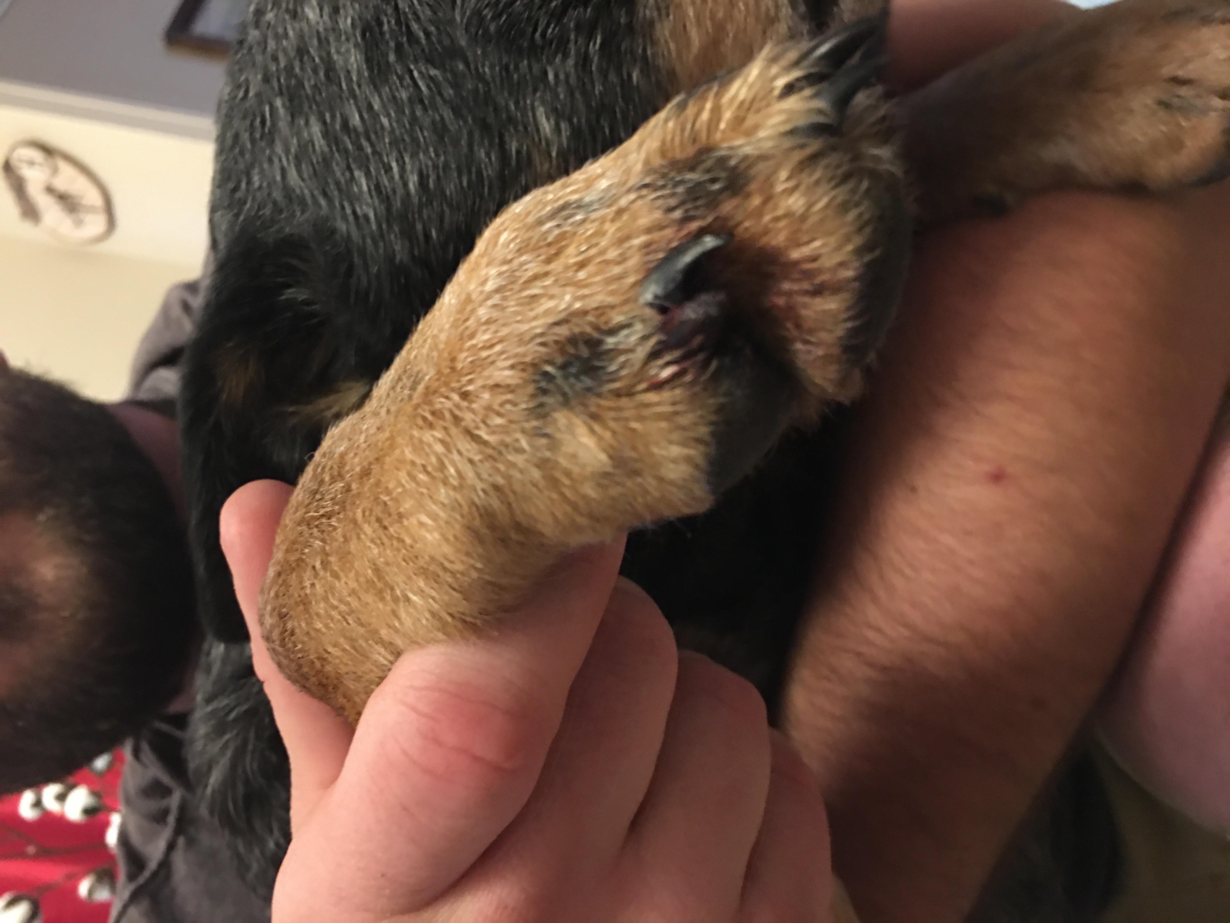 Question details sensitive content