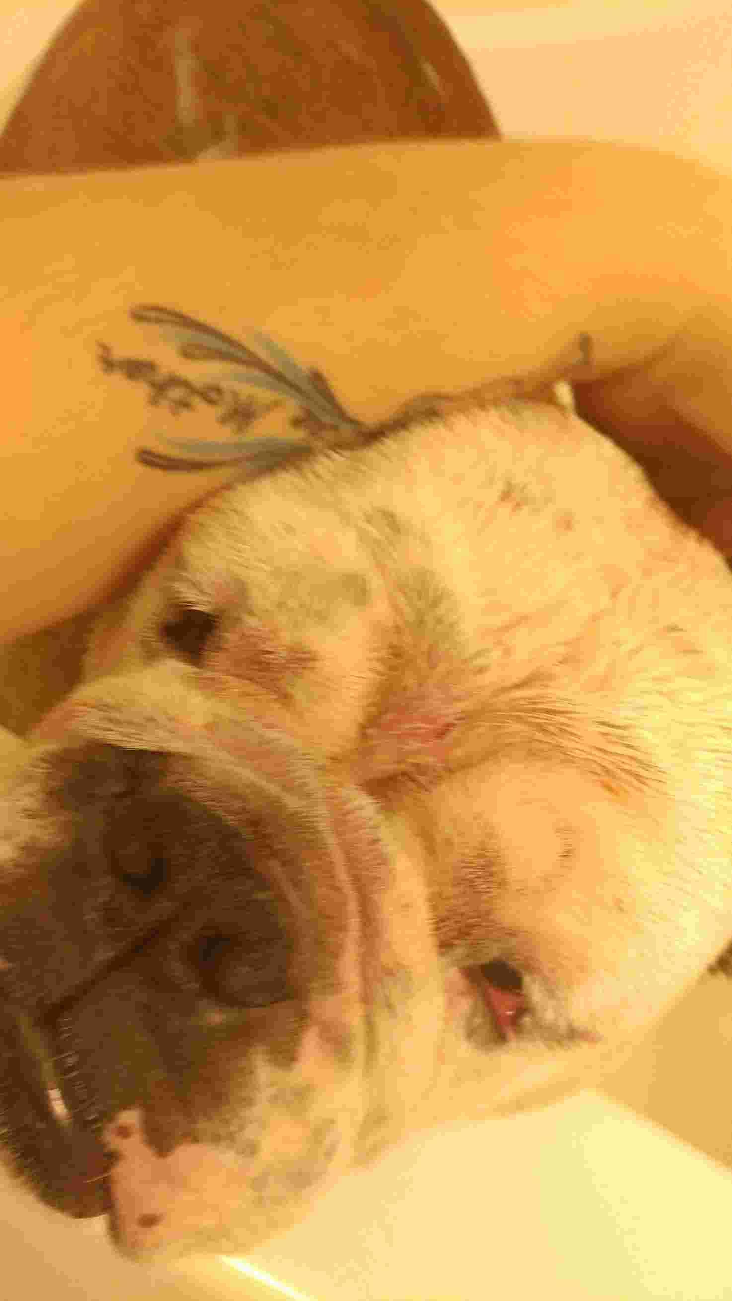 Question details sensitive content