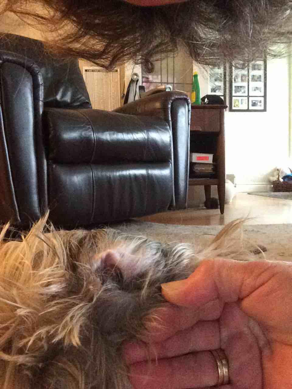 Question details sensitive content