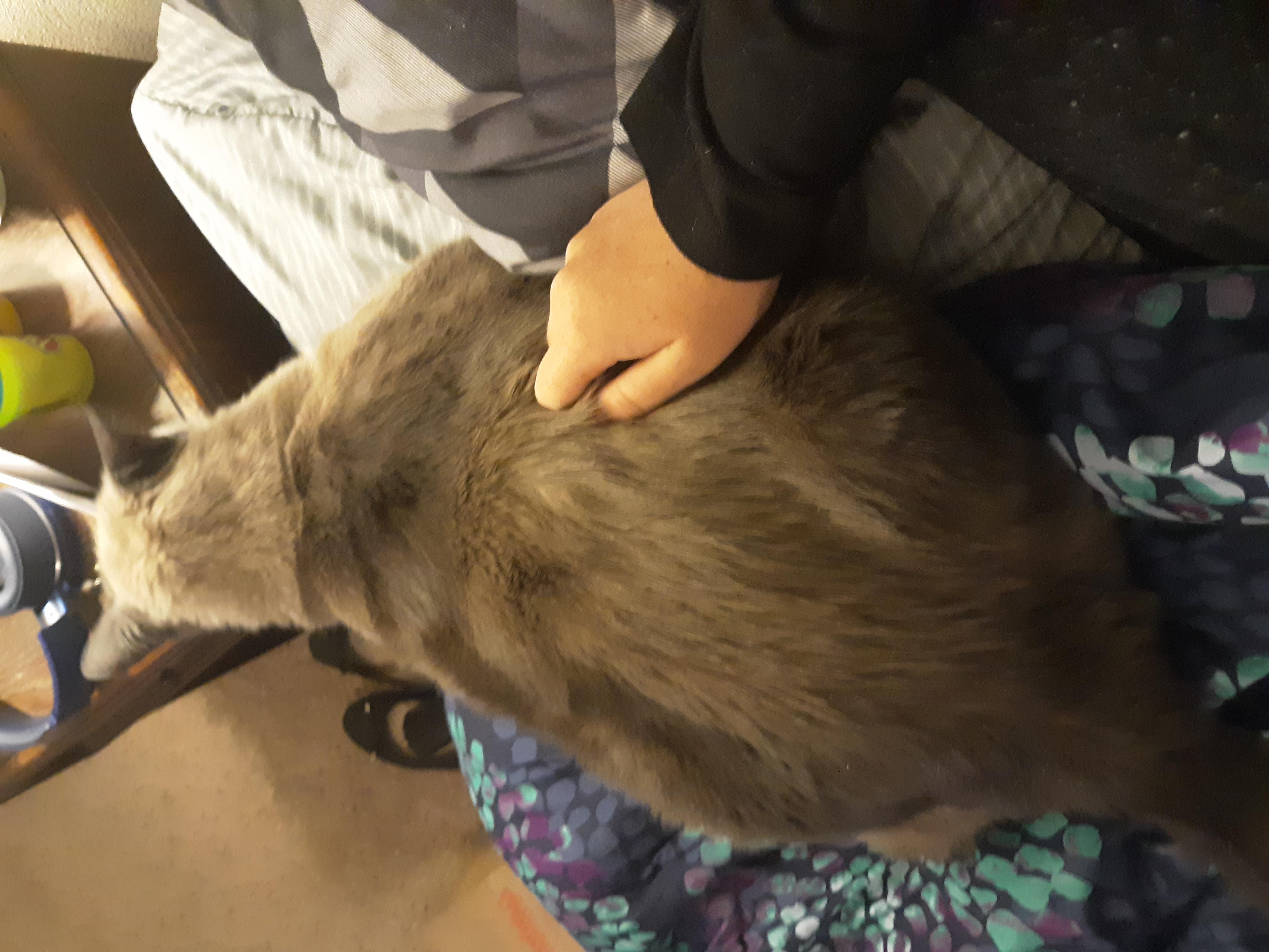 Question details sensitive content