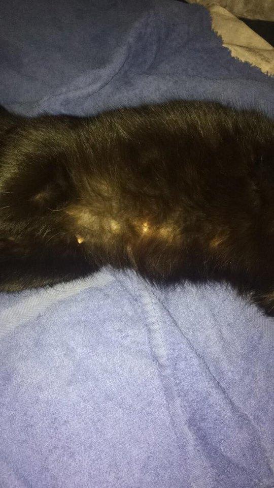 Question details sensitive content