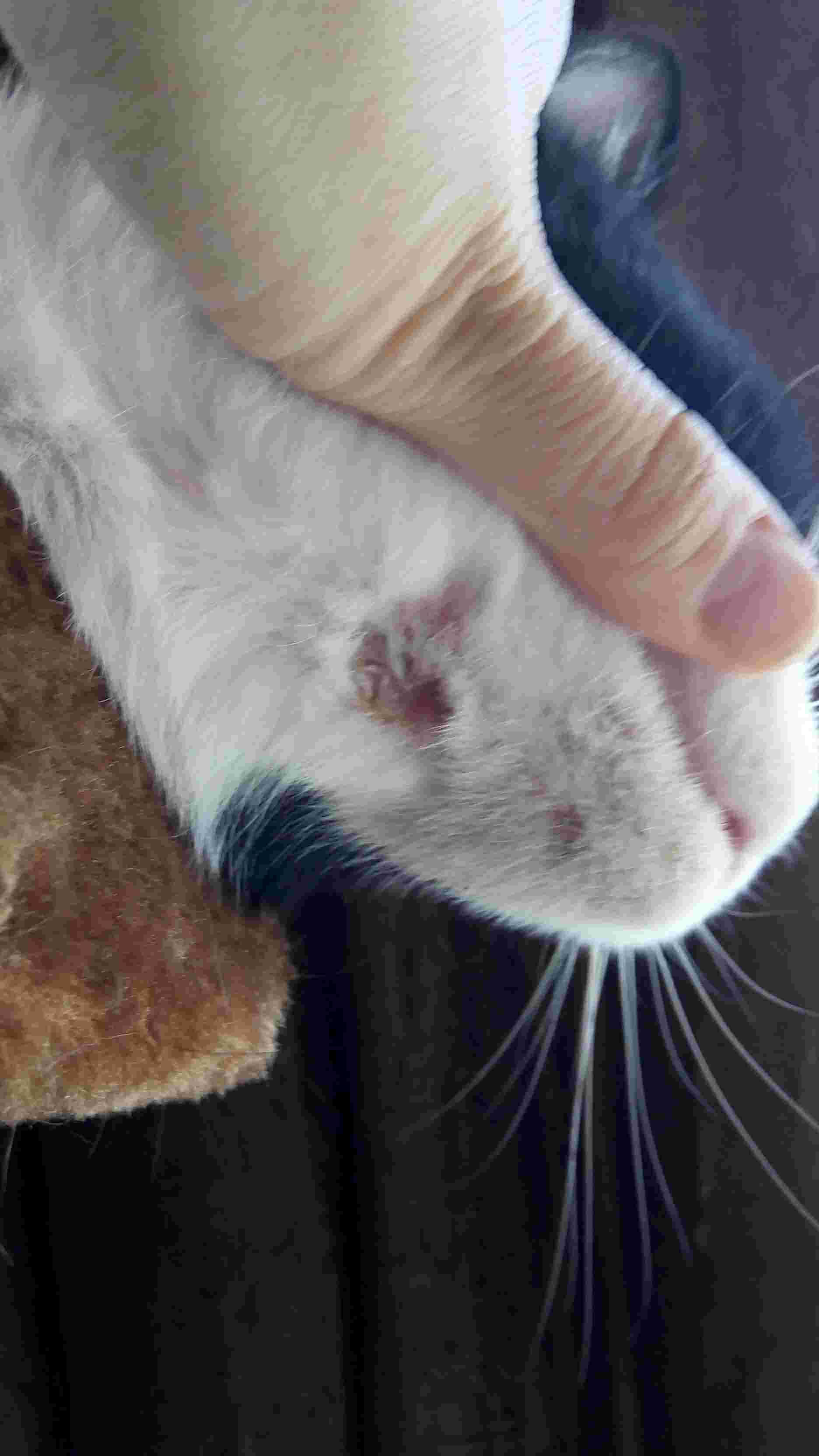 Question details sensitive content