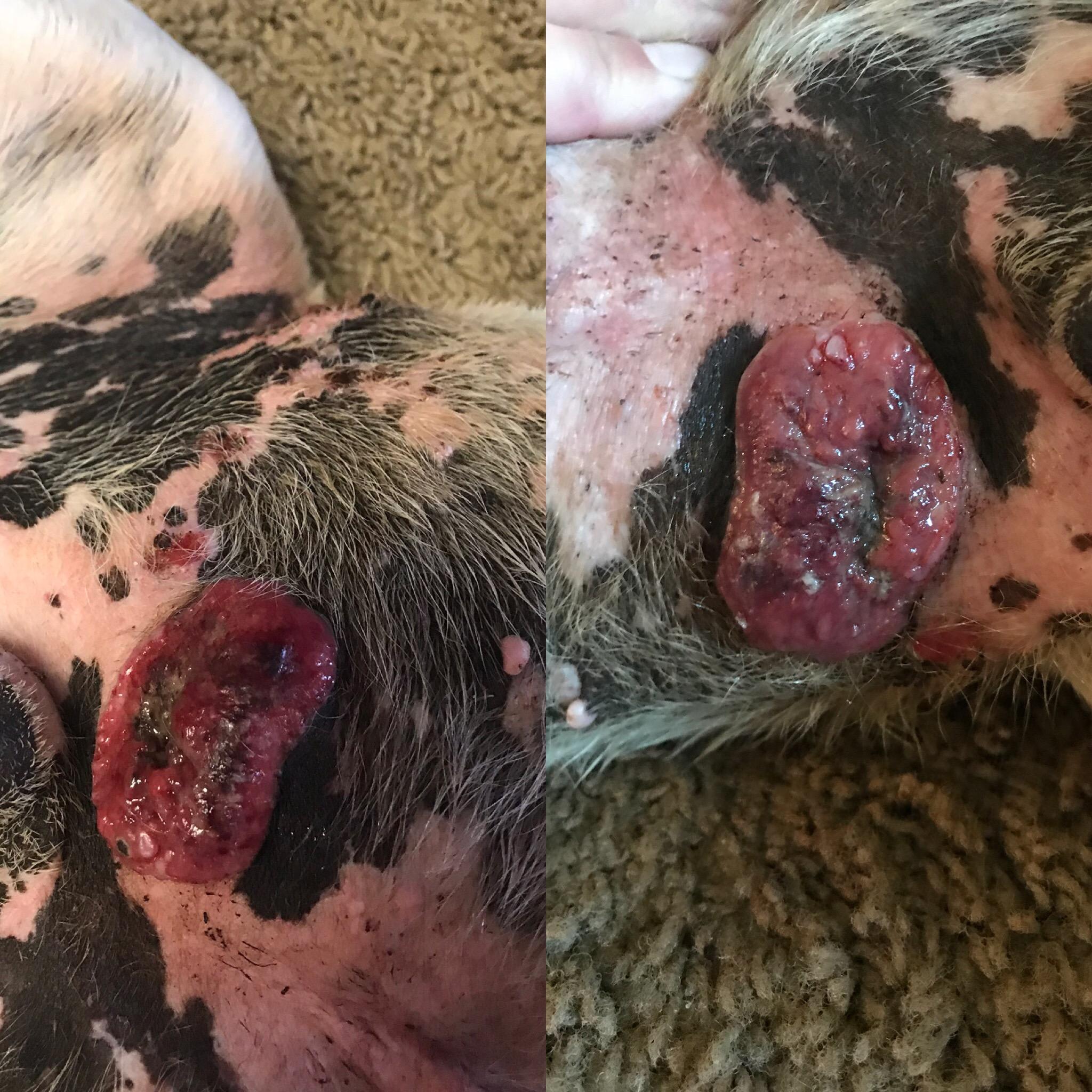 Question details sensitive content