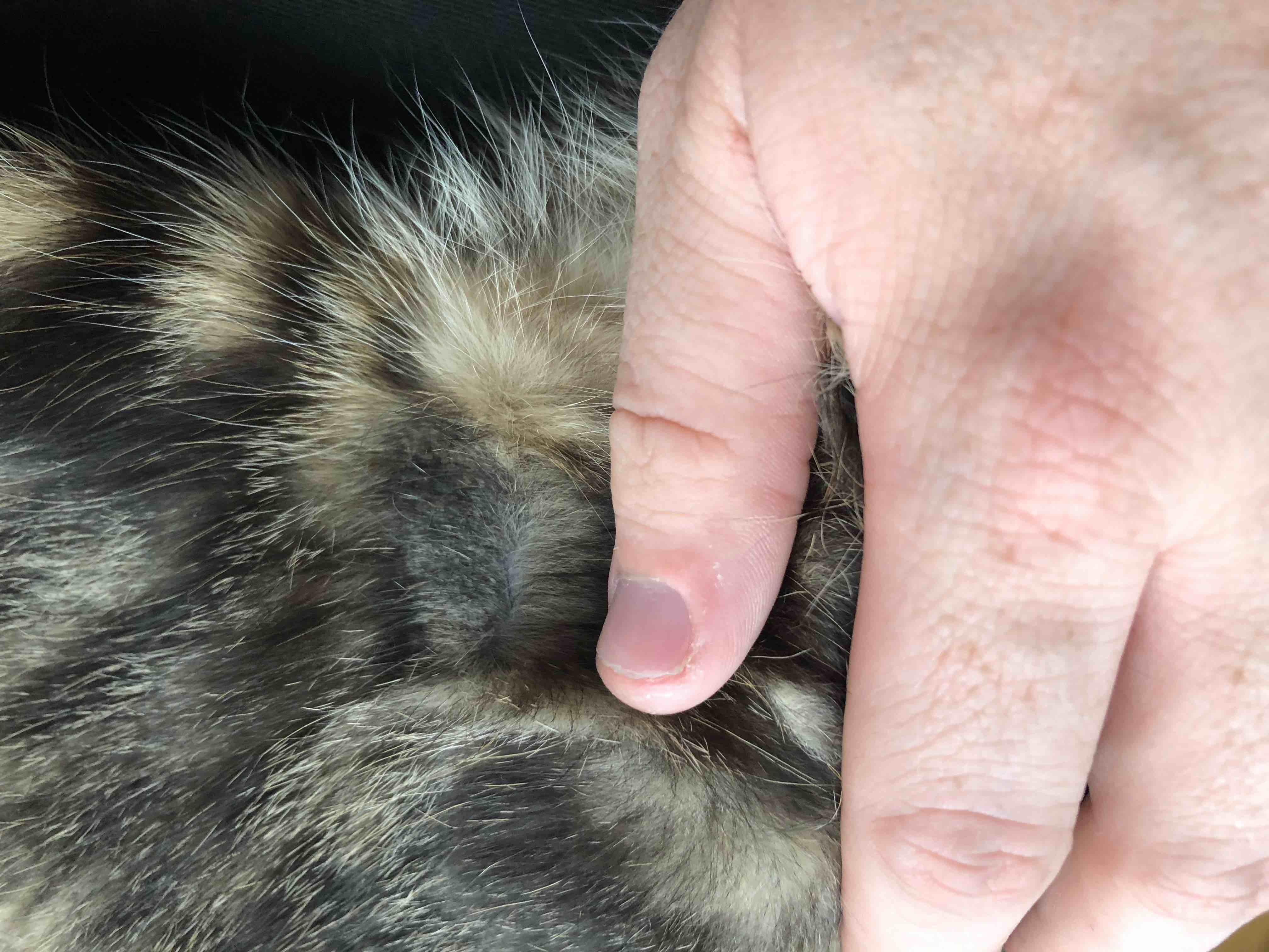 Question details sensitive content