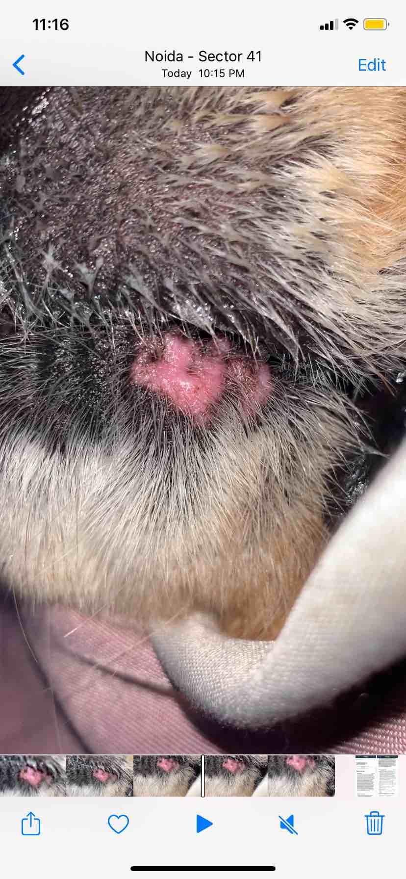 Question details sensitive content