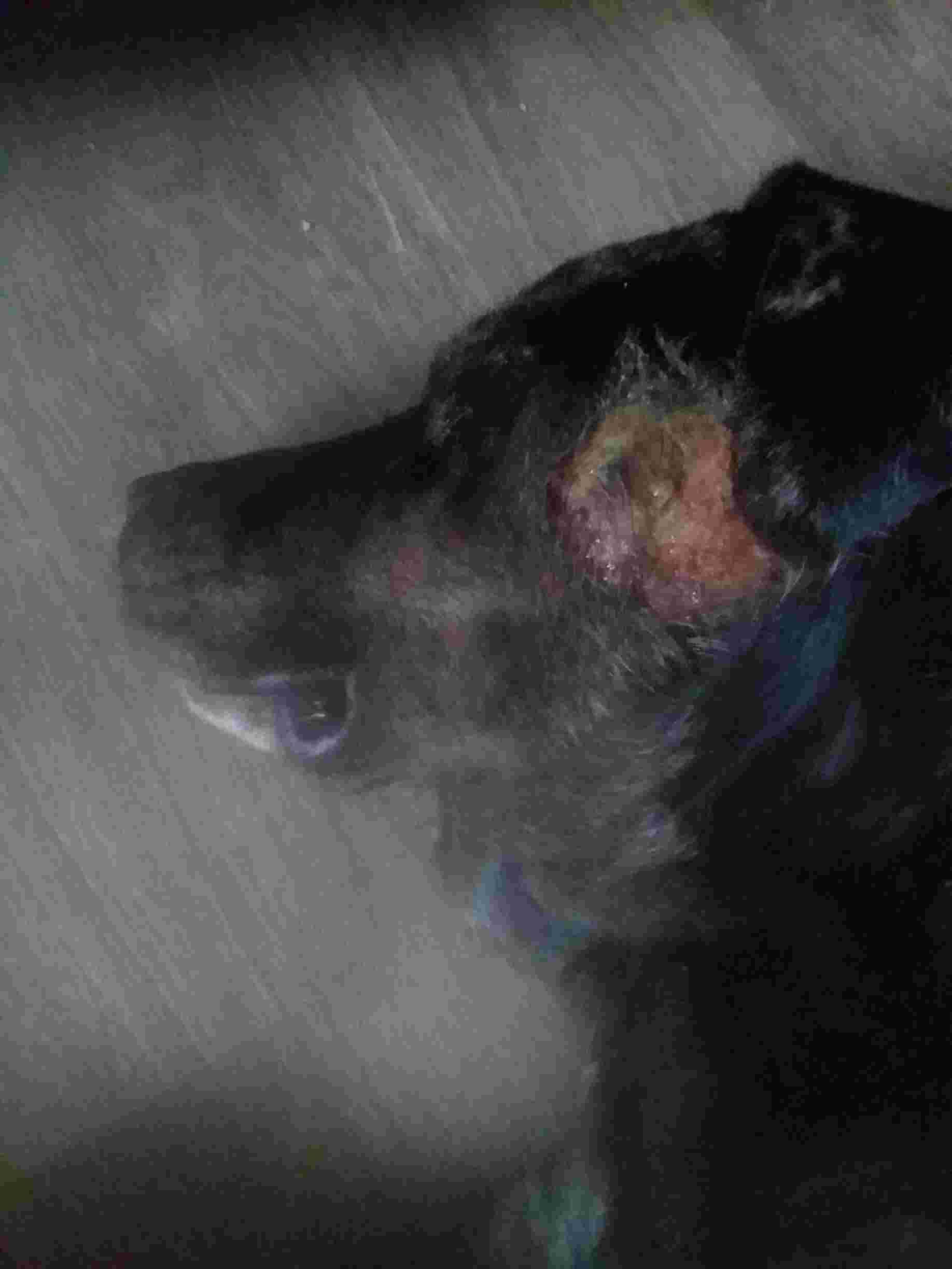 Question details sensitive content