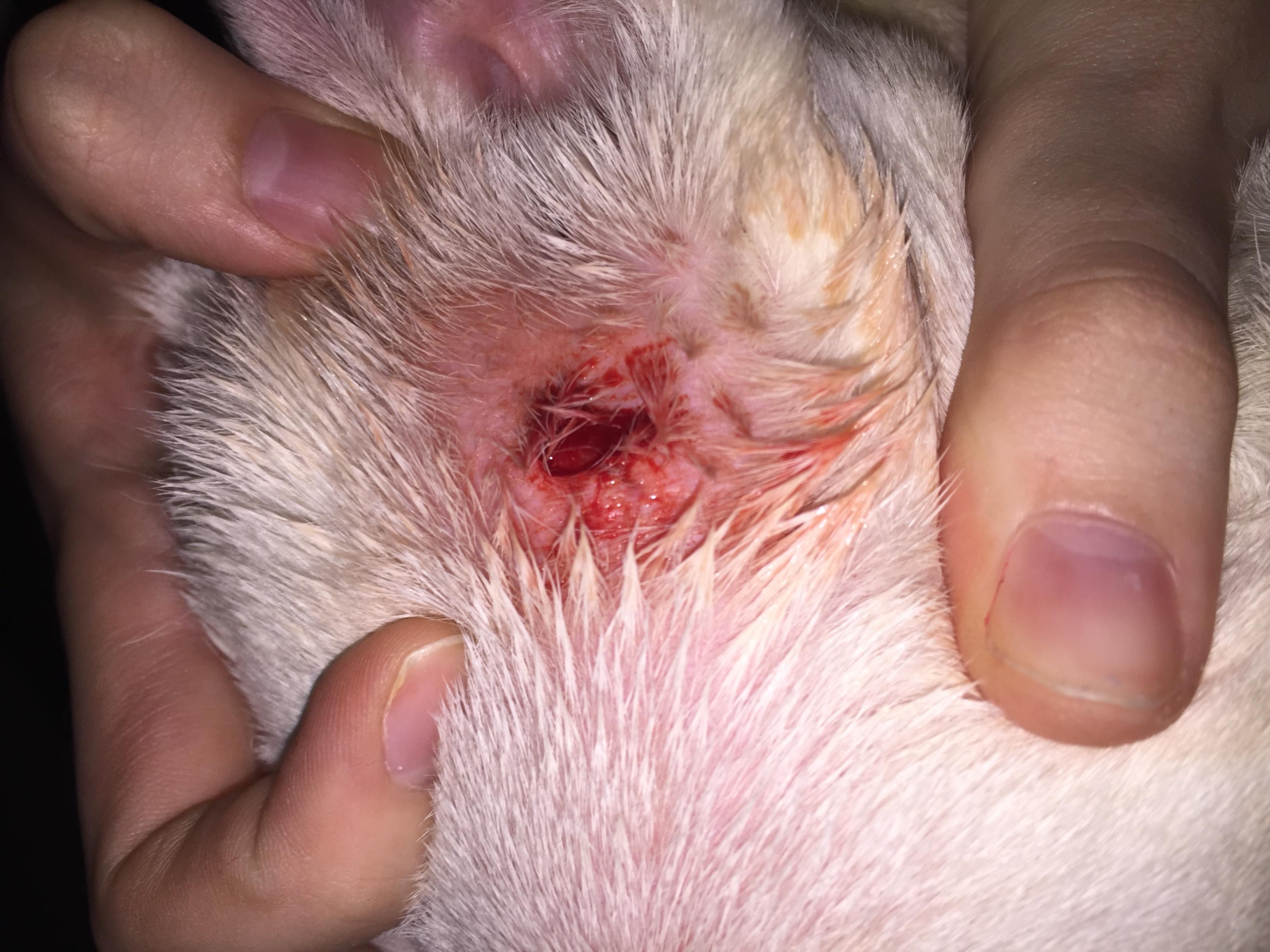 Question details sensitive content