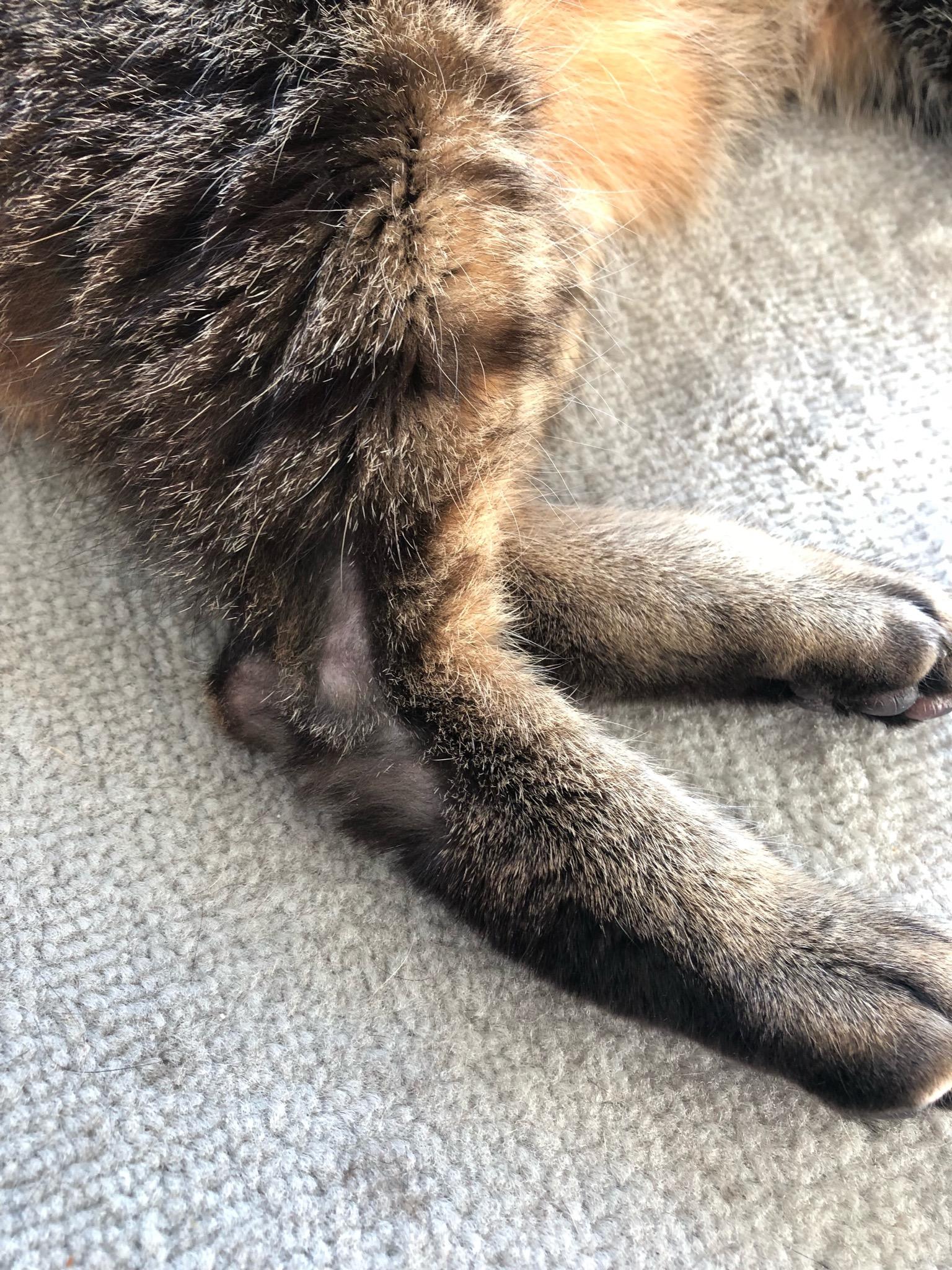 Question details sensitive content