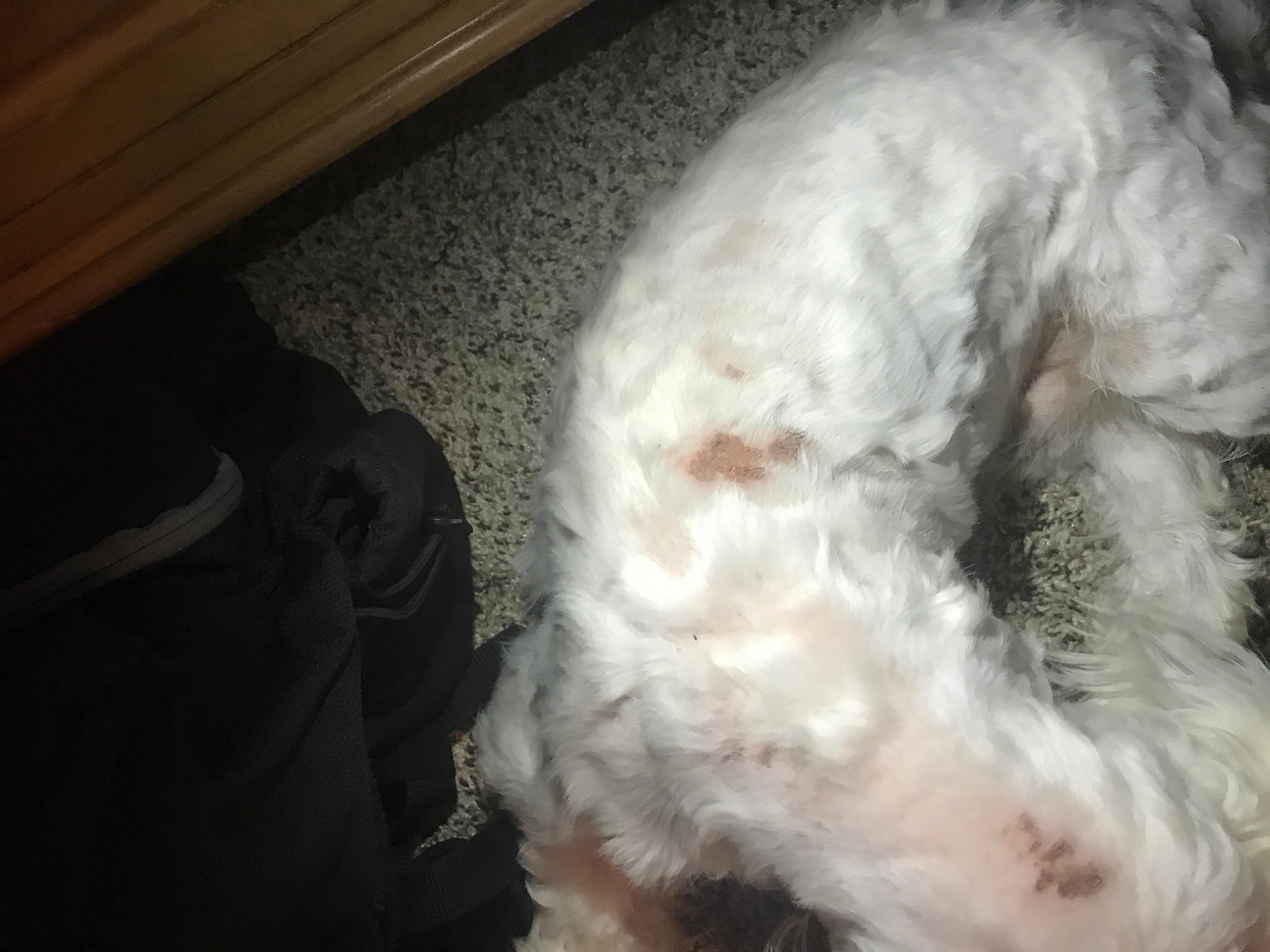 Question details sensitive content