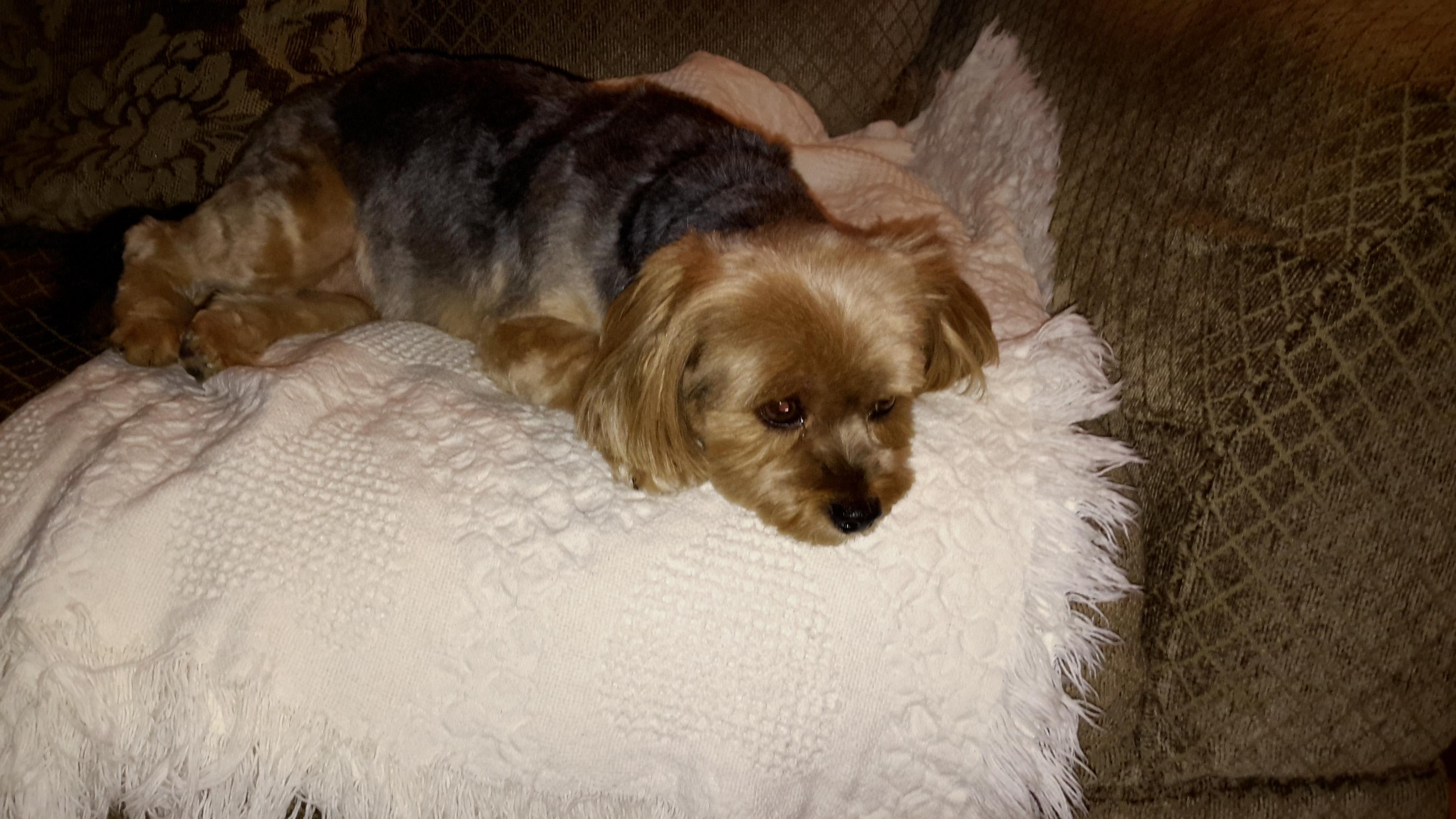 Question details sensitive content