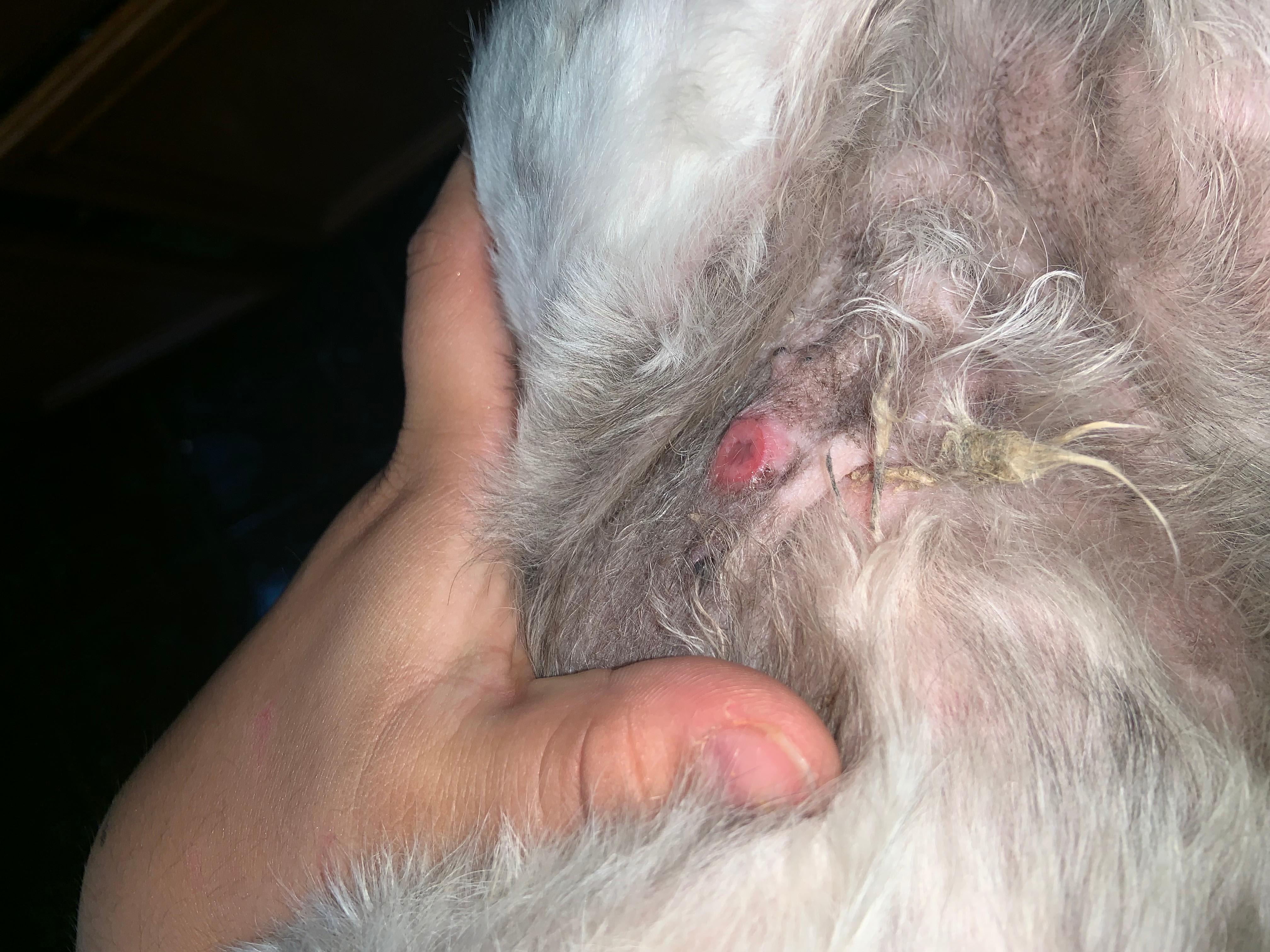 Question details sensitive content