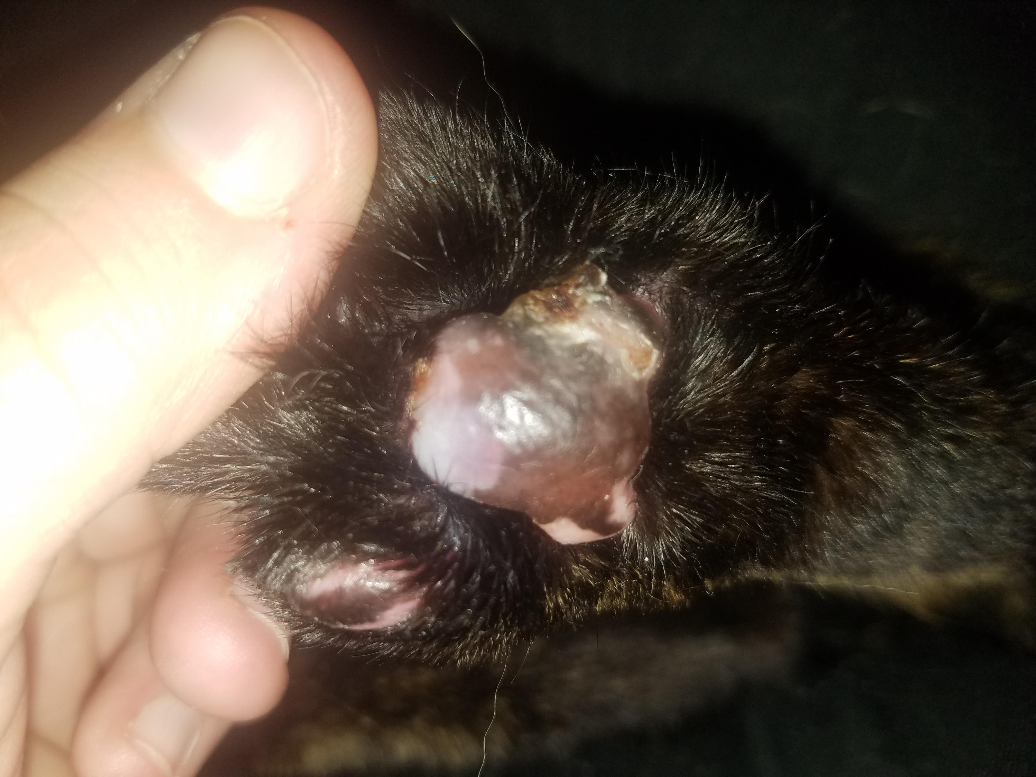 Question details sensitive content