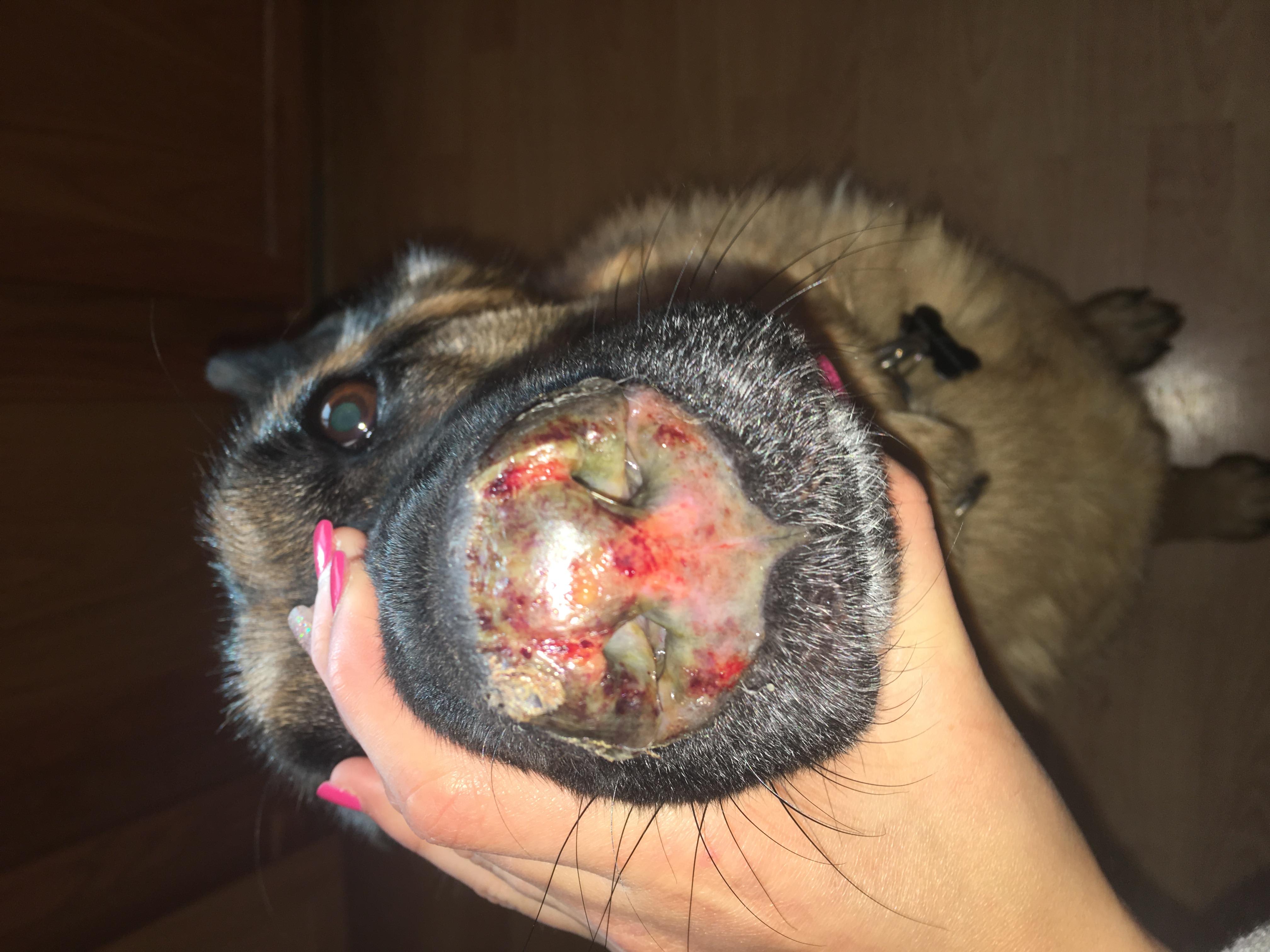 Question details sensitive content