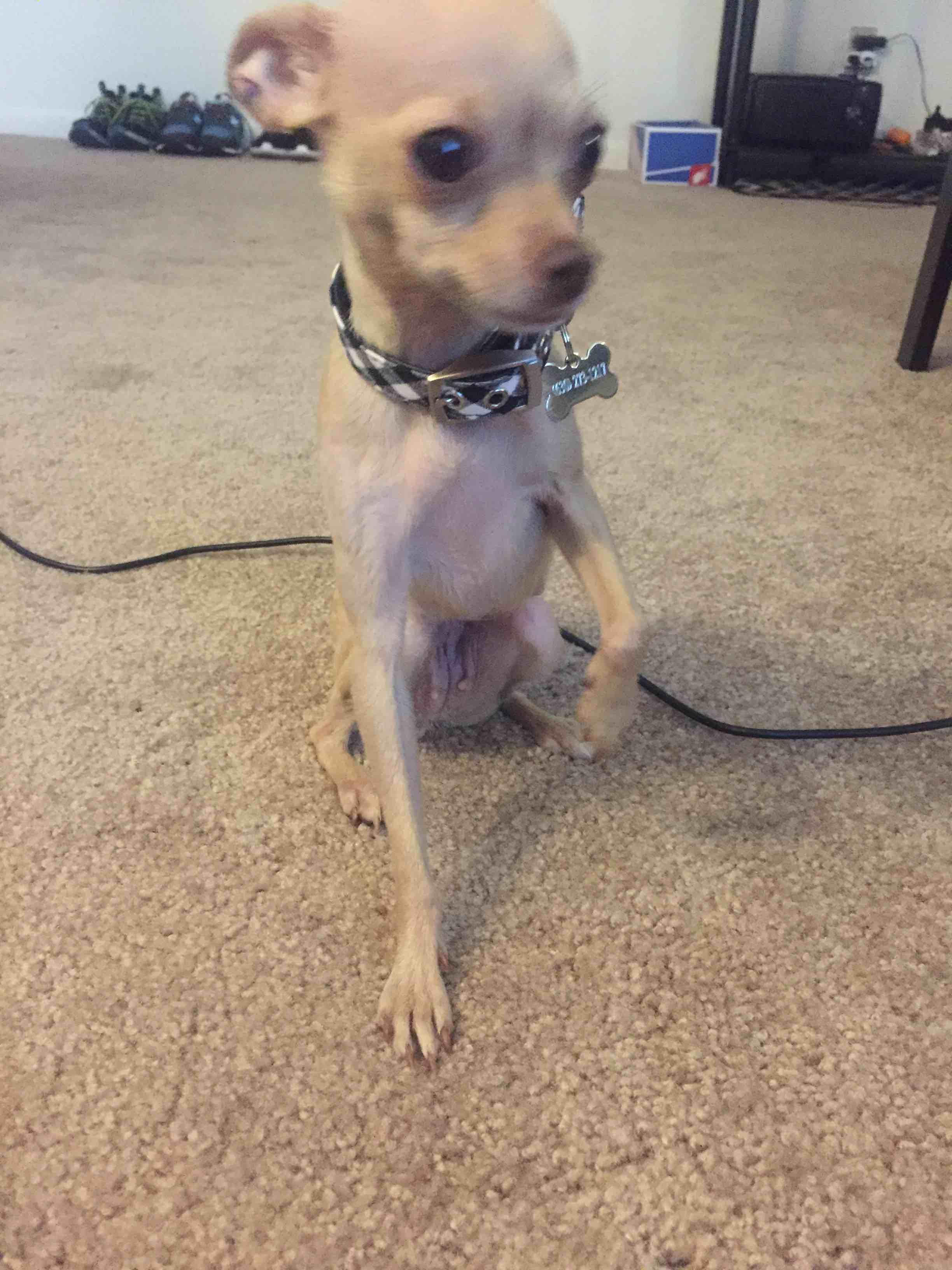 Question details sensitive content