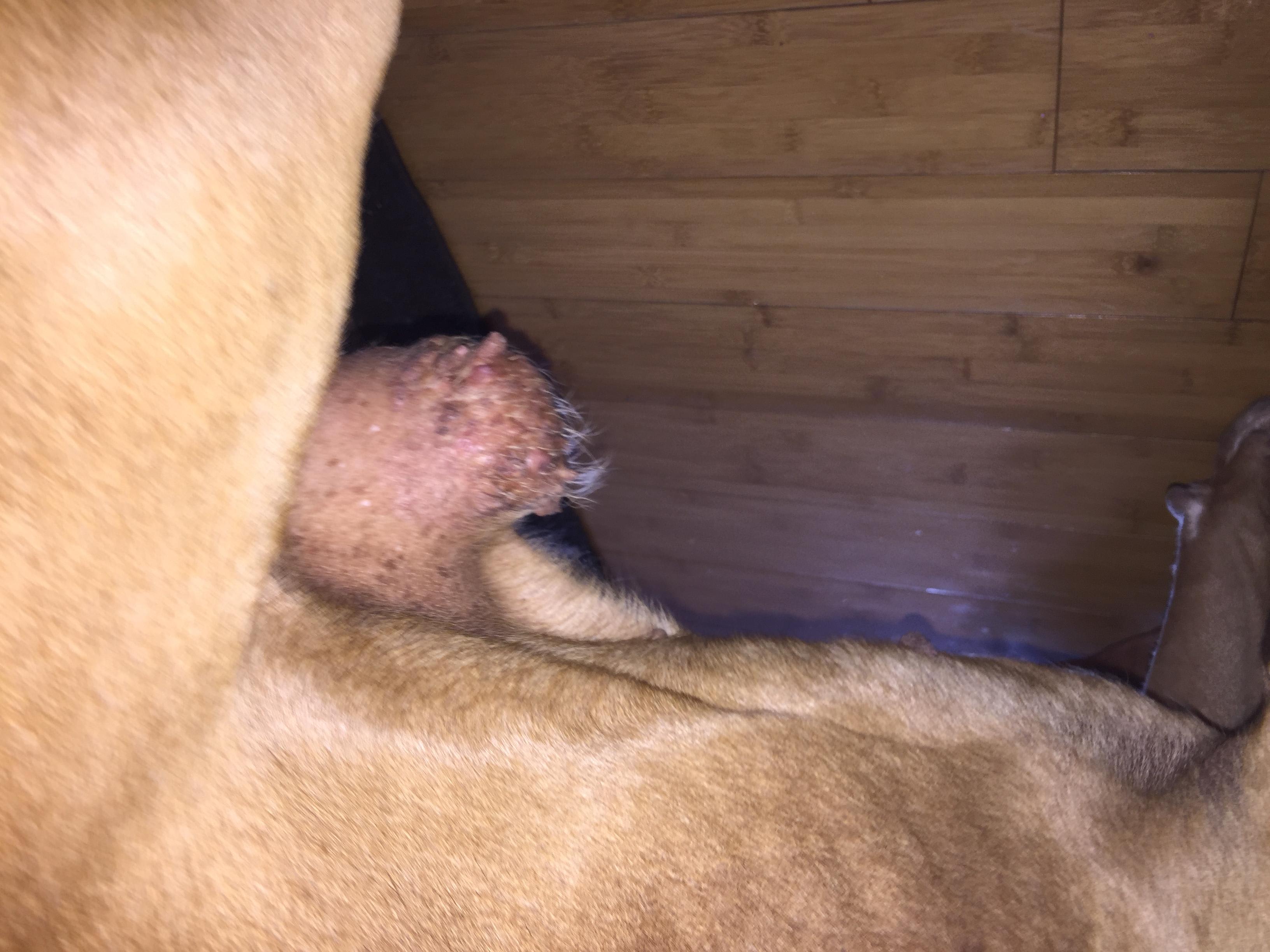 Question details sensitive content