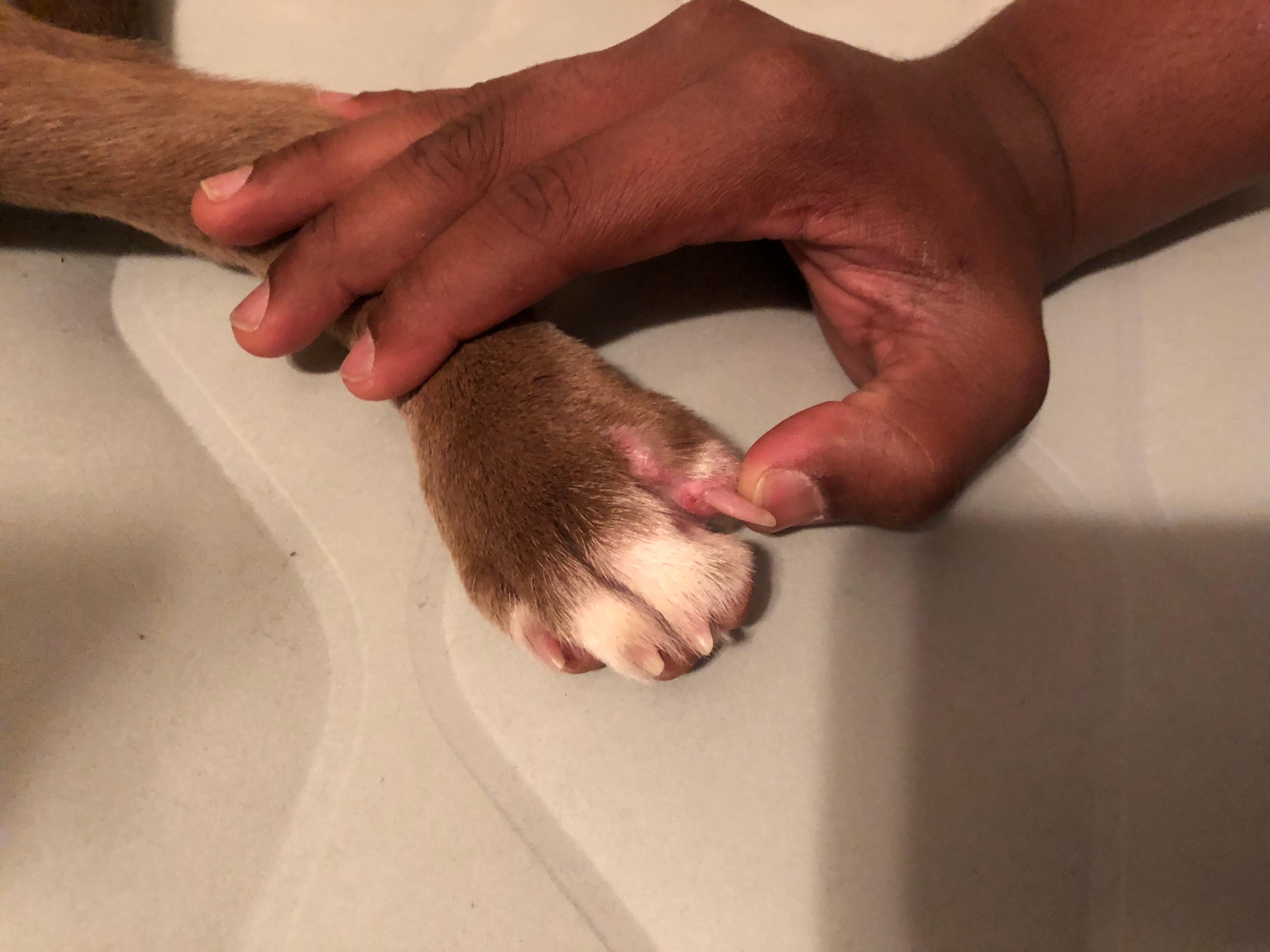 Question details sensitive content