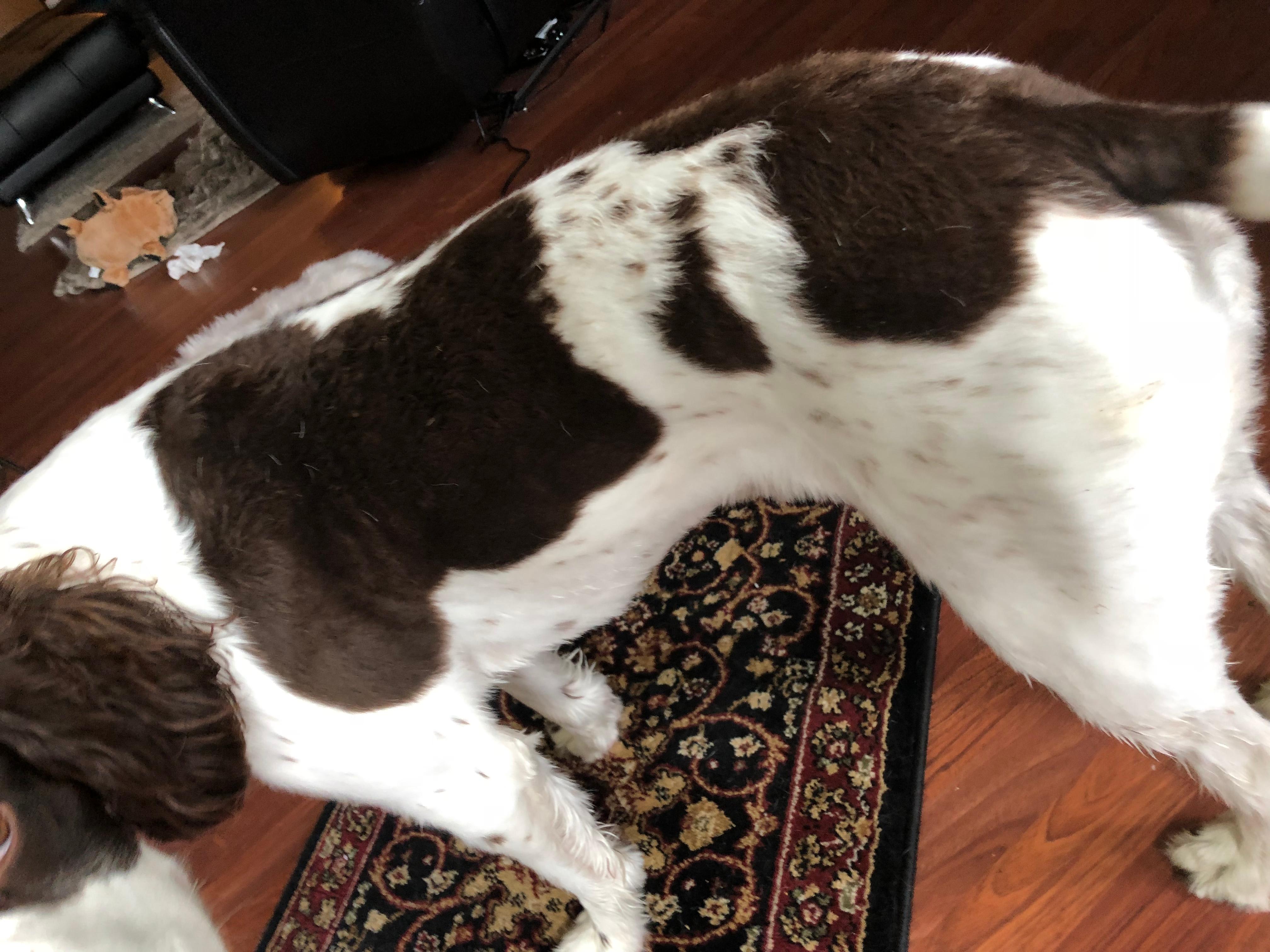 Question details sensitive content