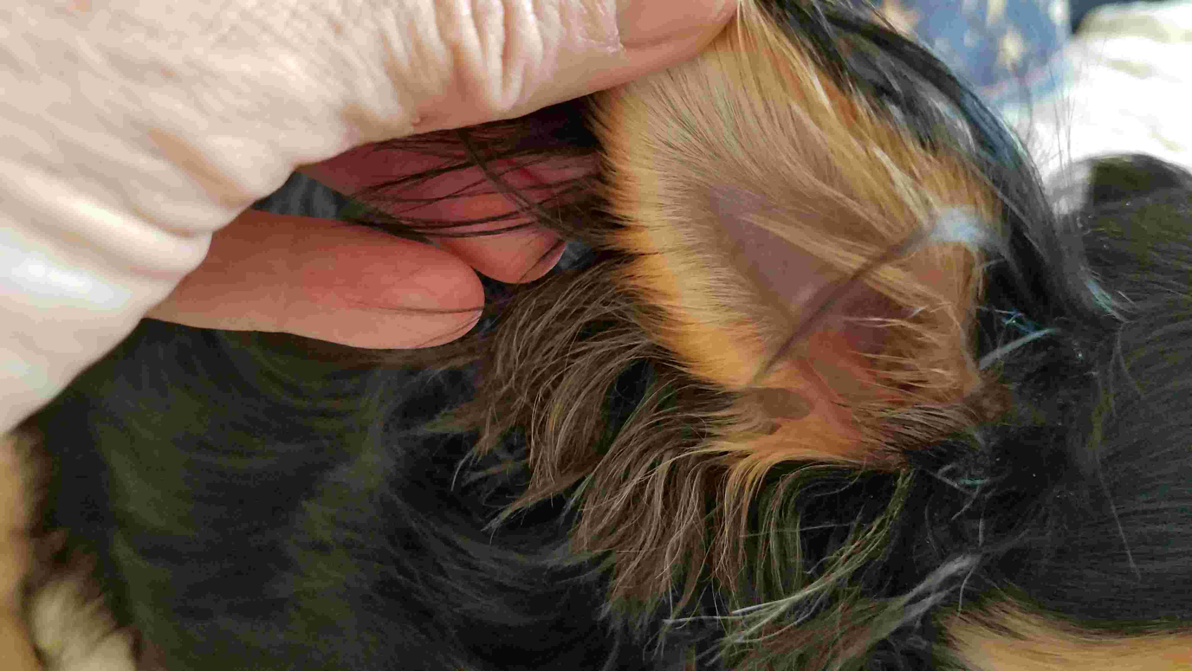 Question details sensitive content