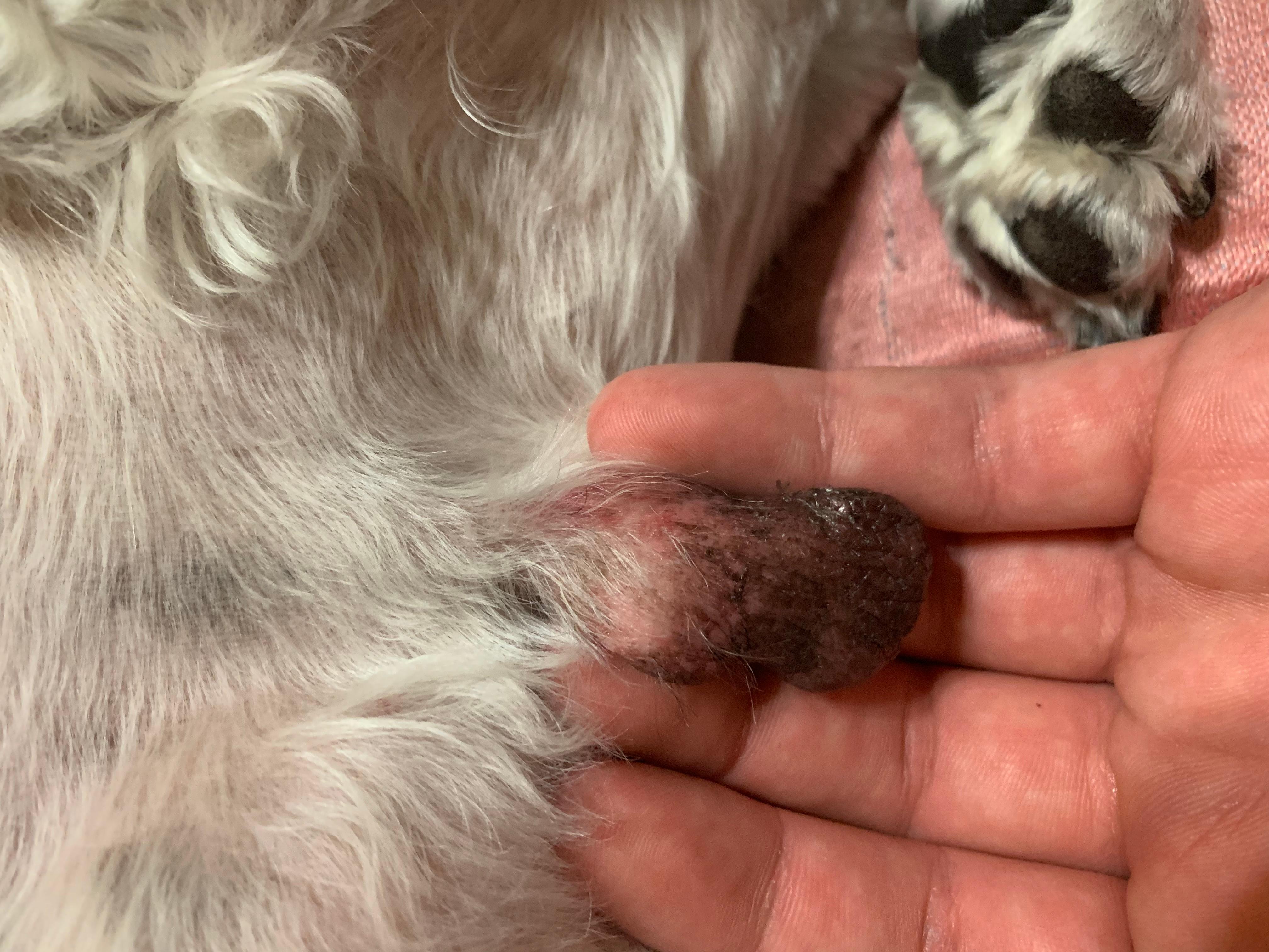 Question details sensitive content