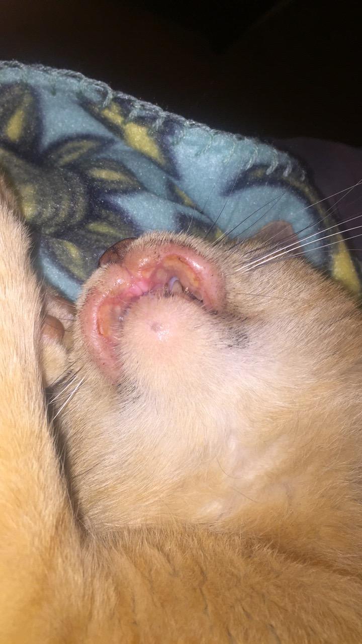 Question details sensitive content