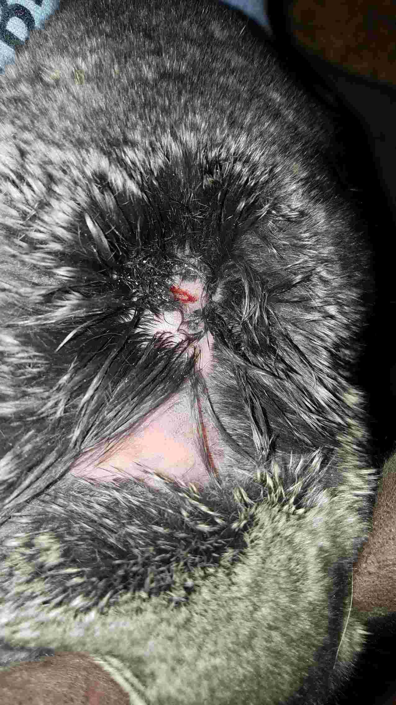 Question details sensitive content