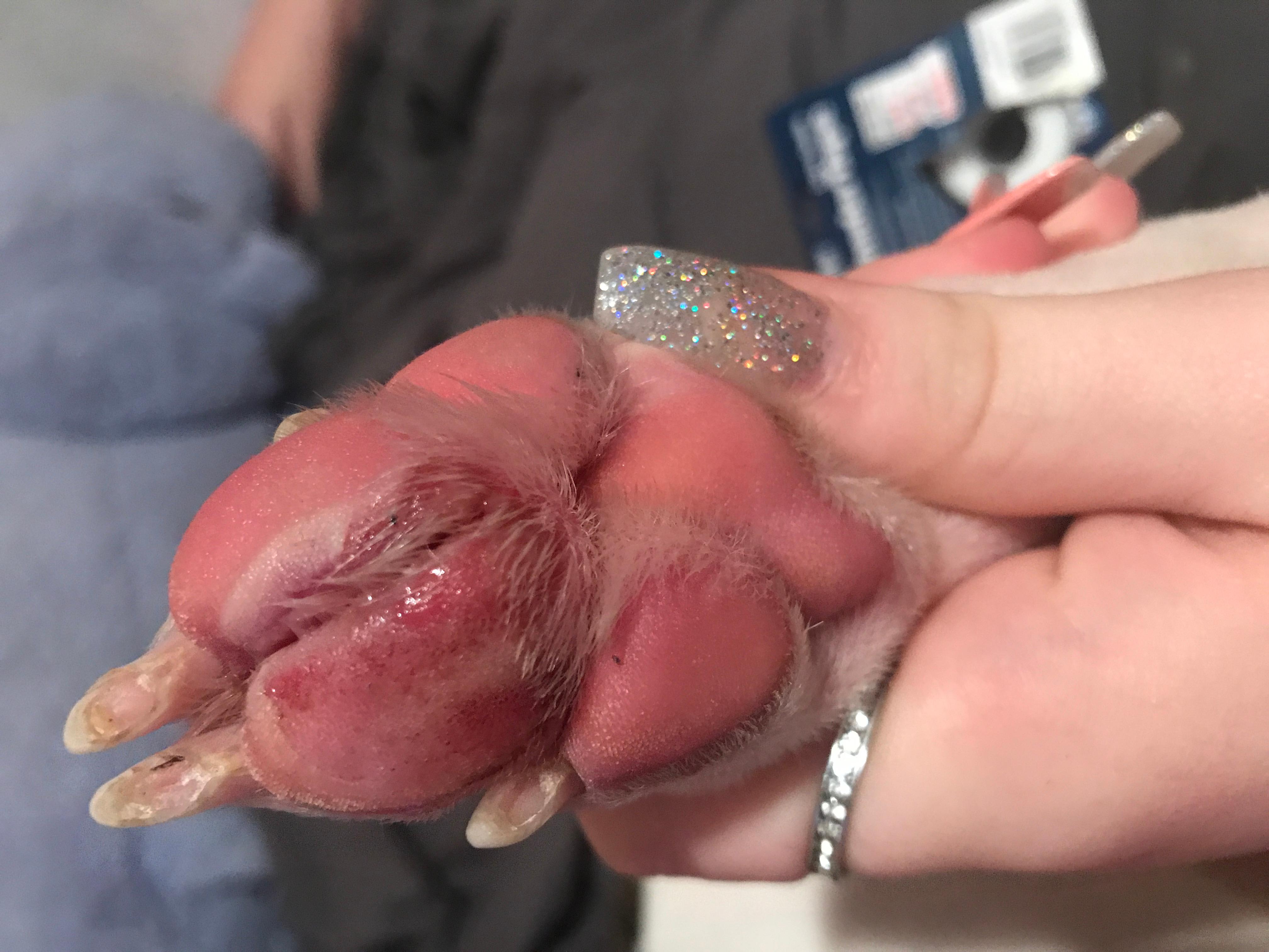 Question details sensitive content