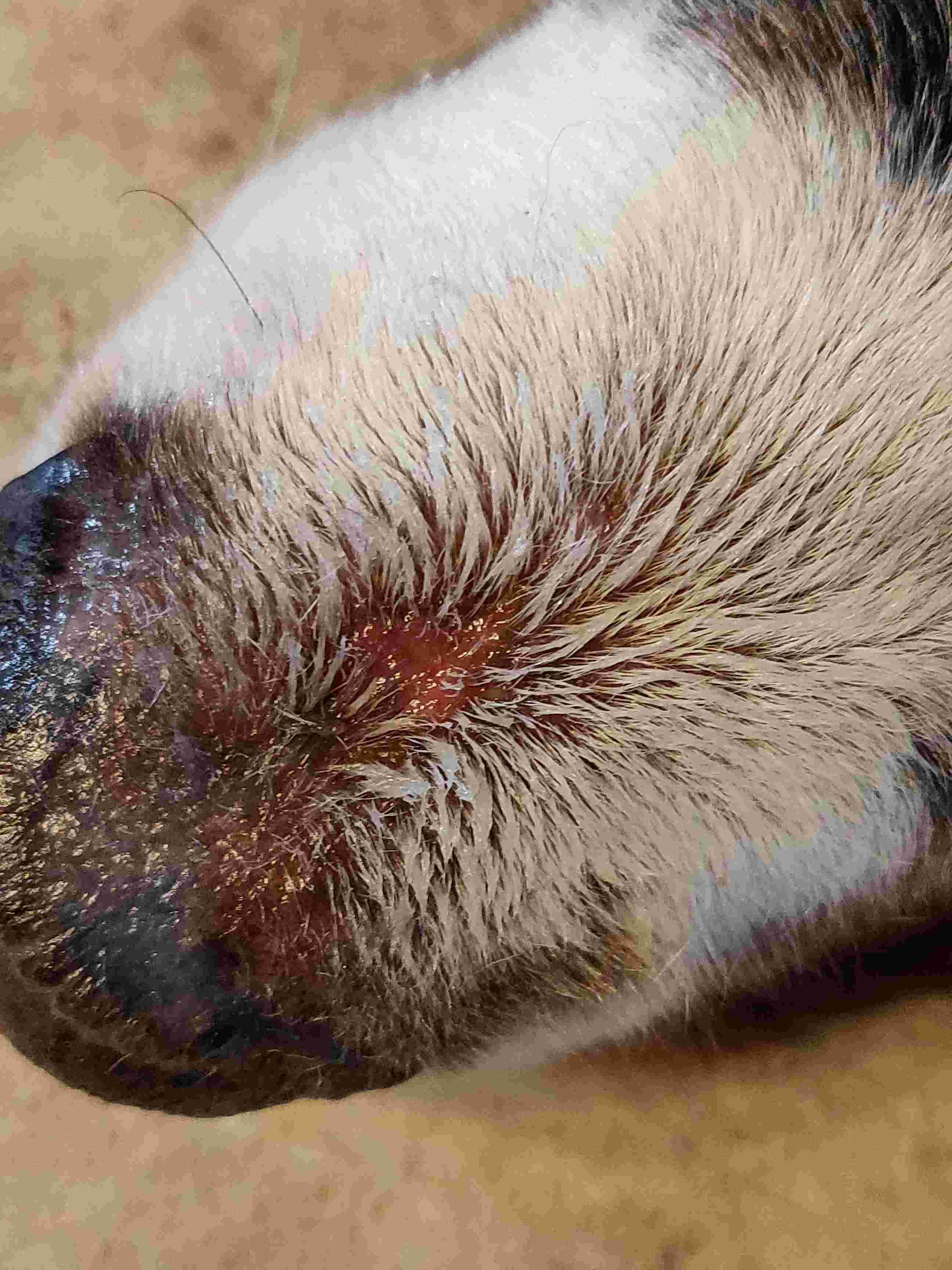 Question details sensitive content