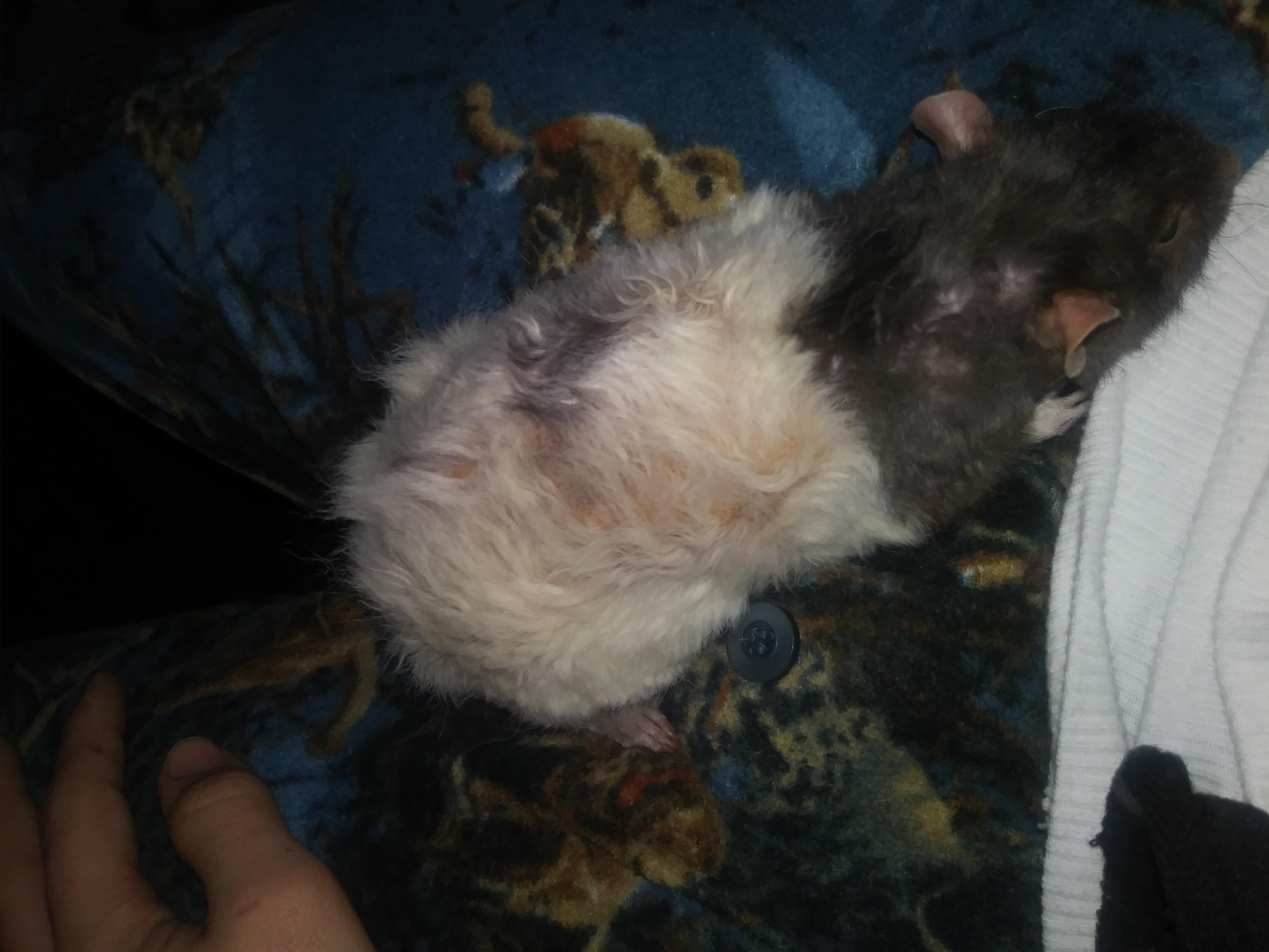 Question details sensitive content