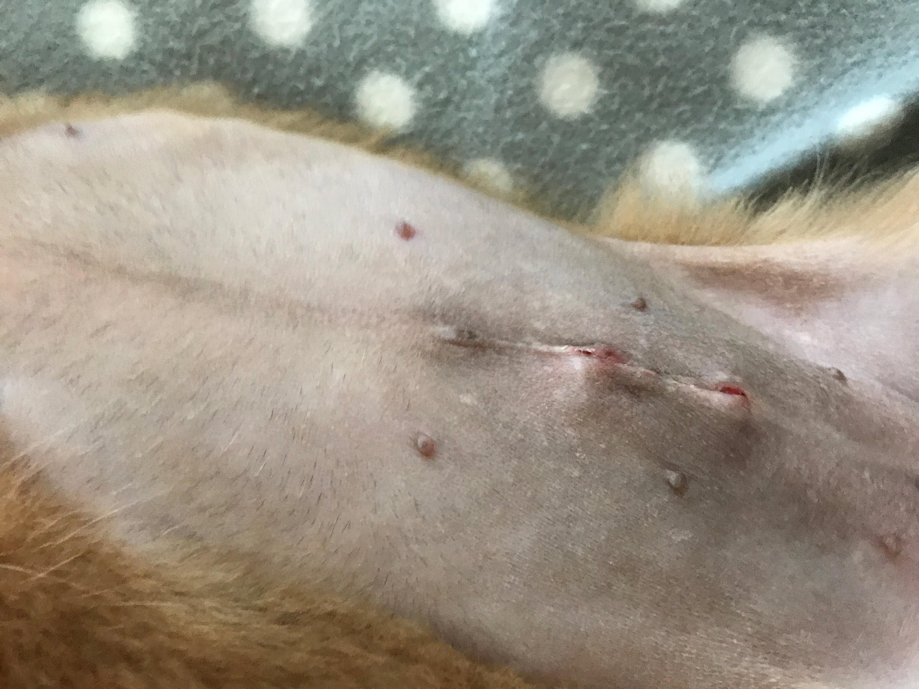 Question details sensitive content