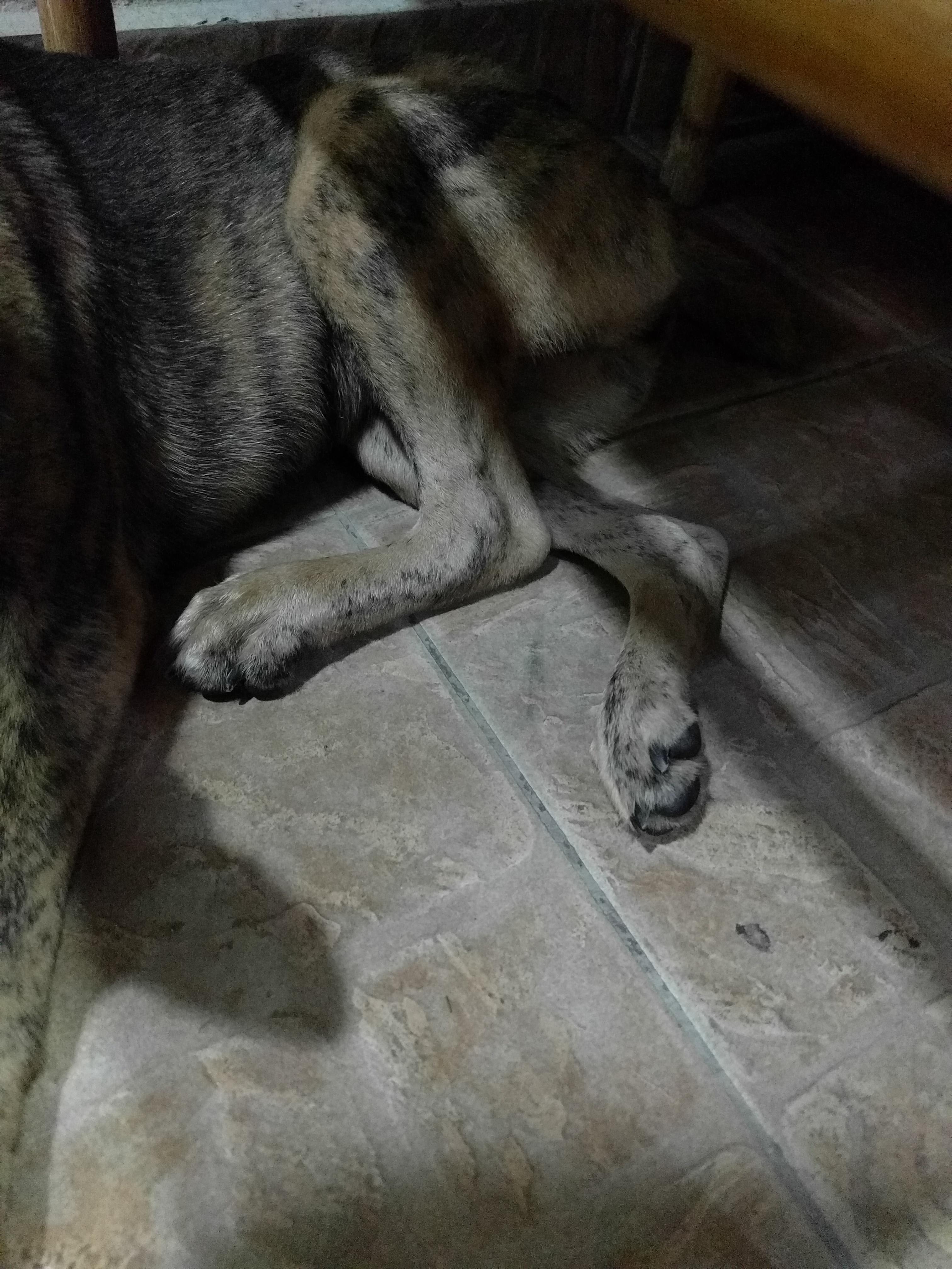 Question details sensitive content