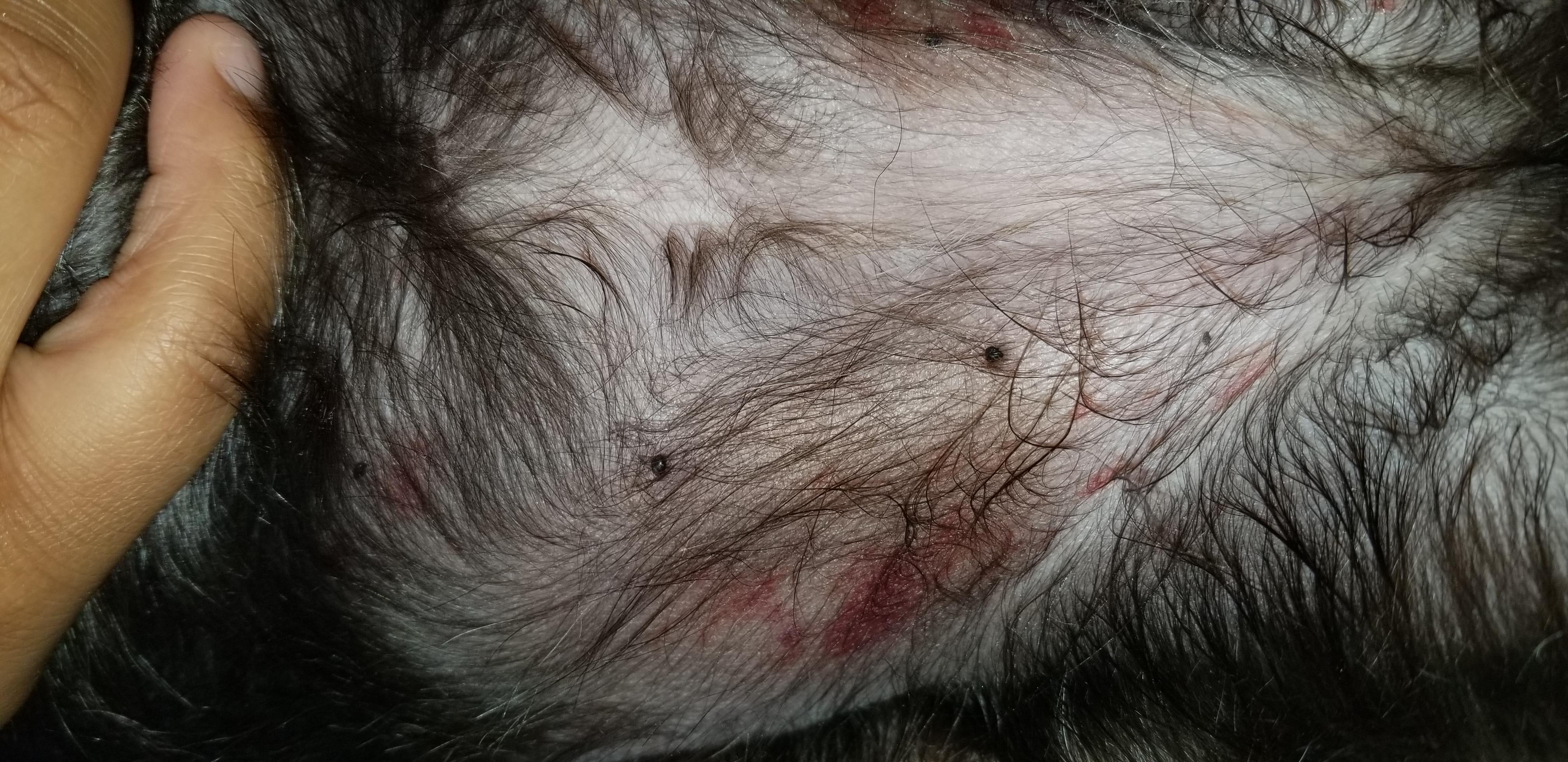 Question details sensitive content