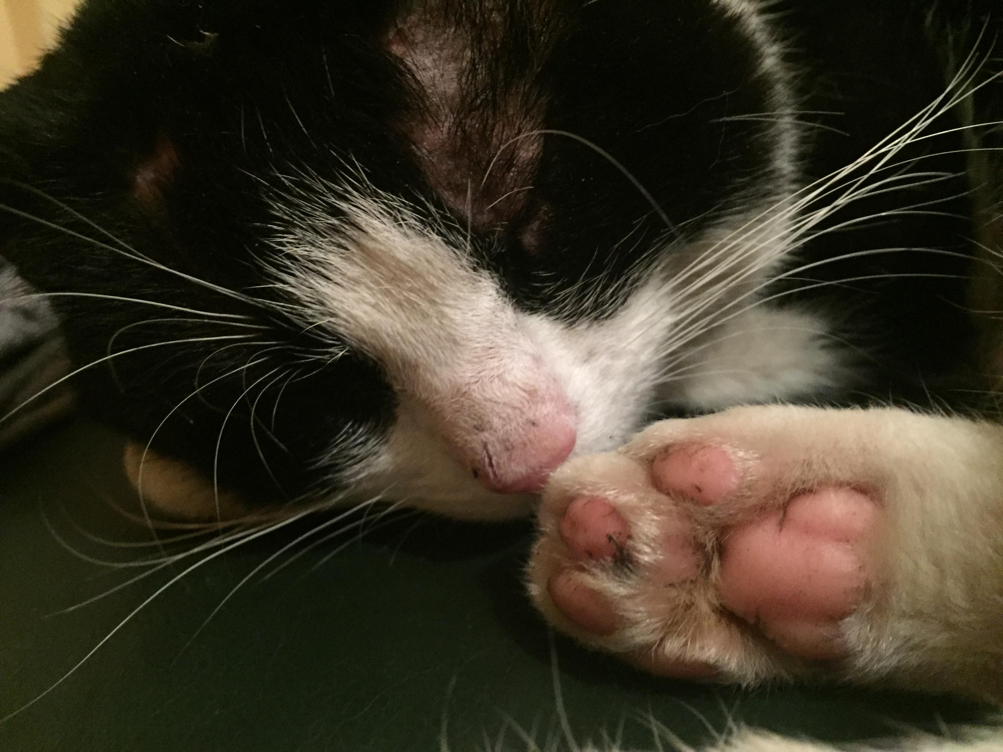 Question details sensitive content