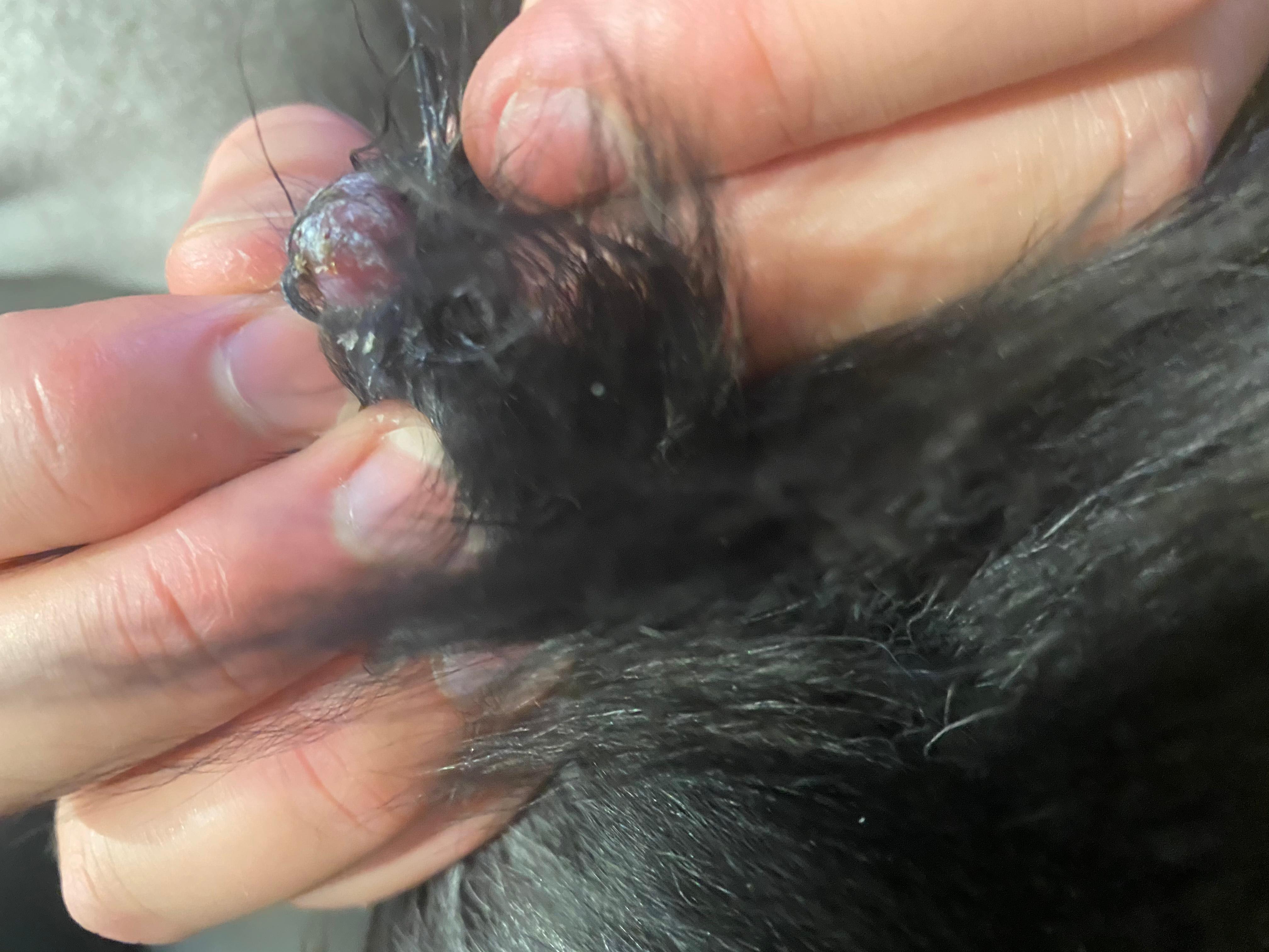 Question details sensitive content