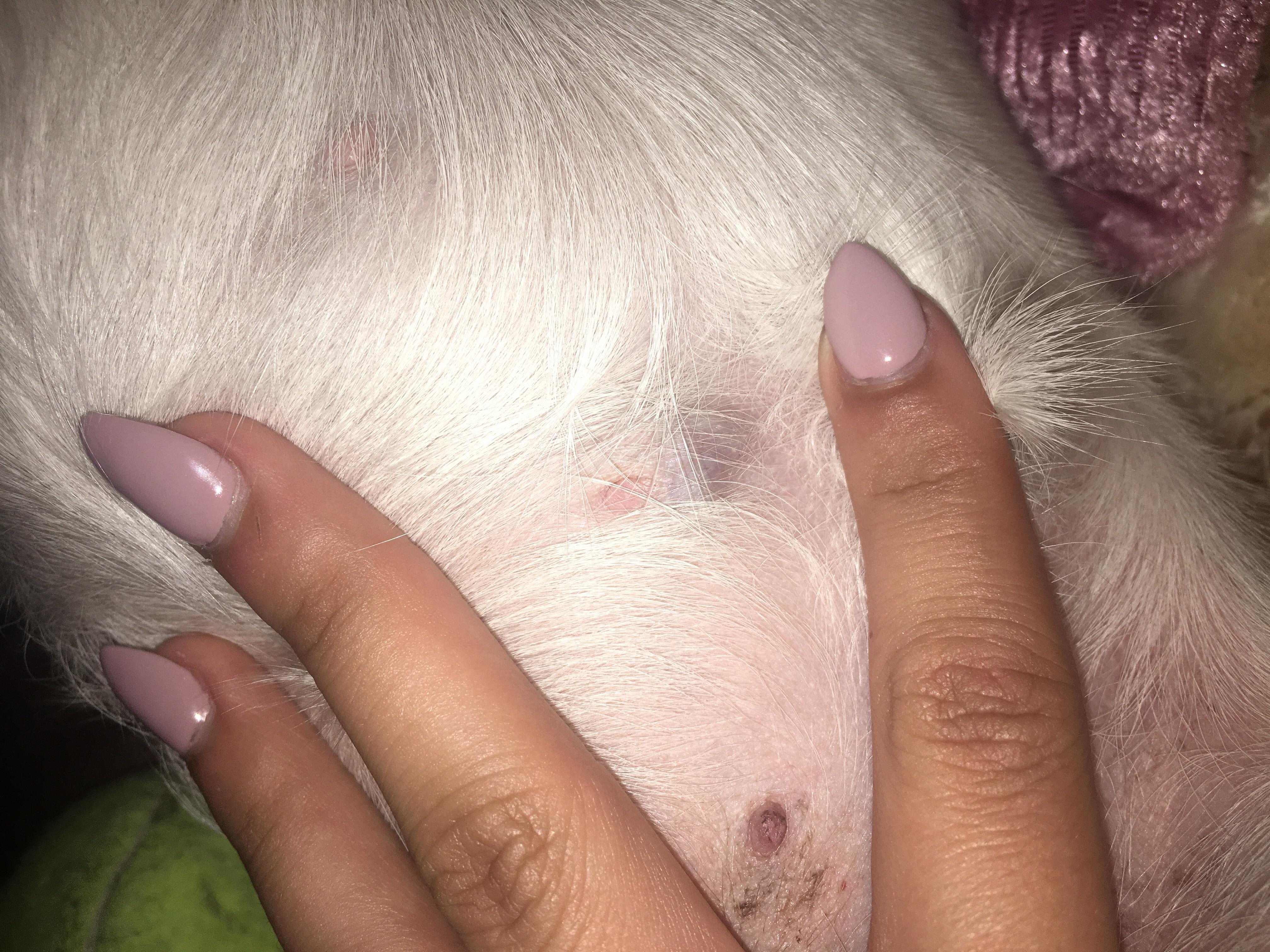 Question details sensitive content