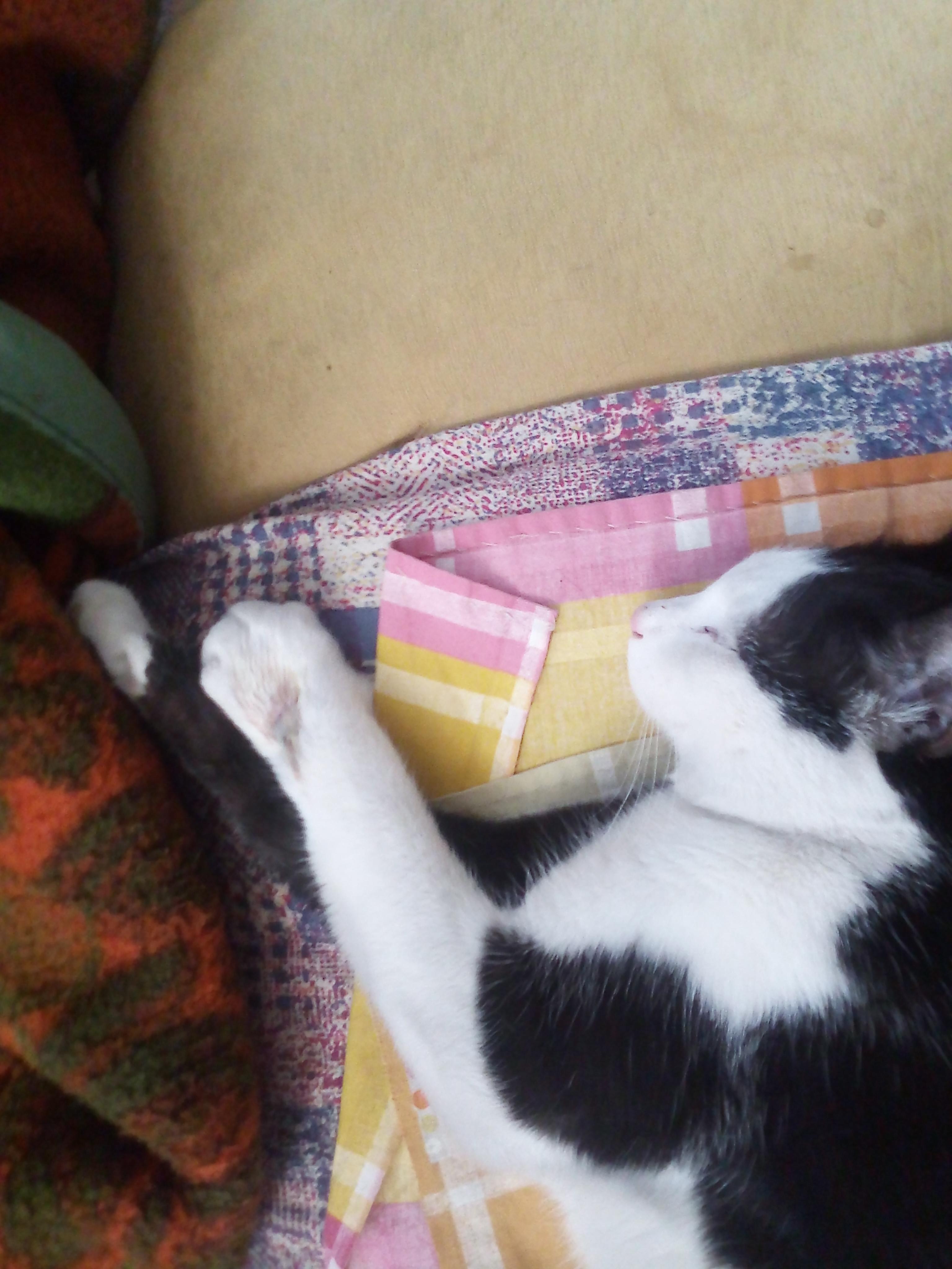 Question details sensitive content