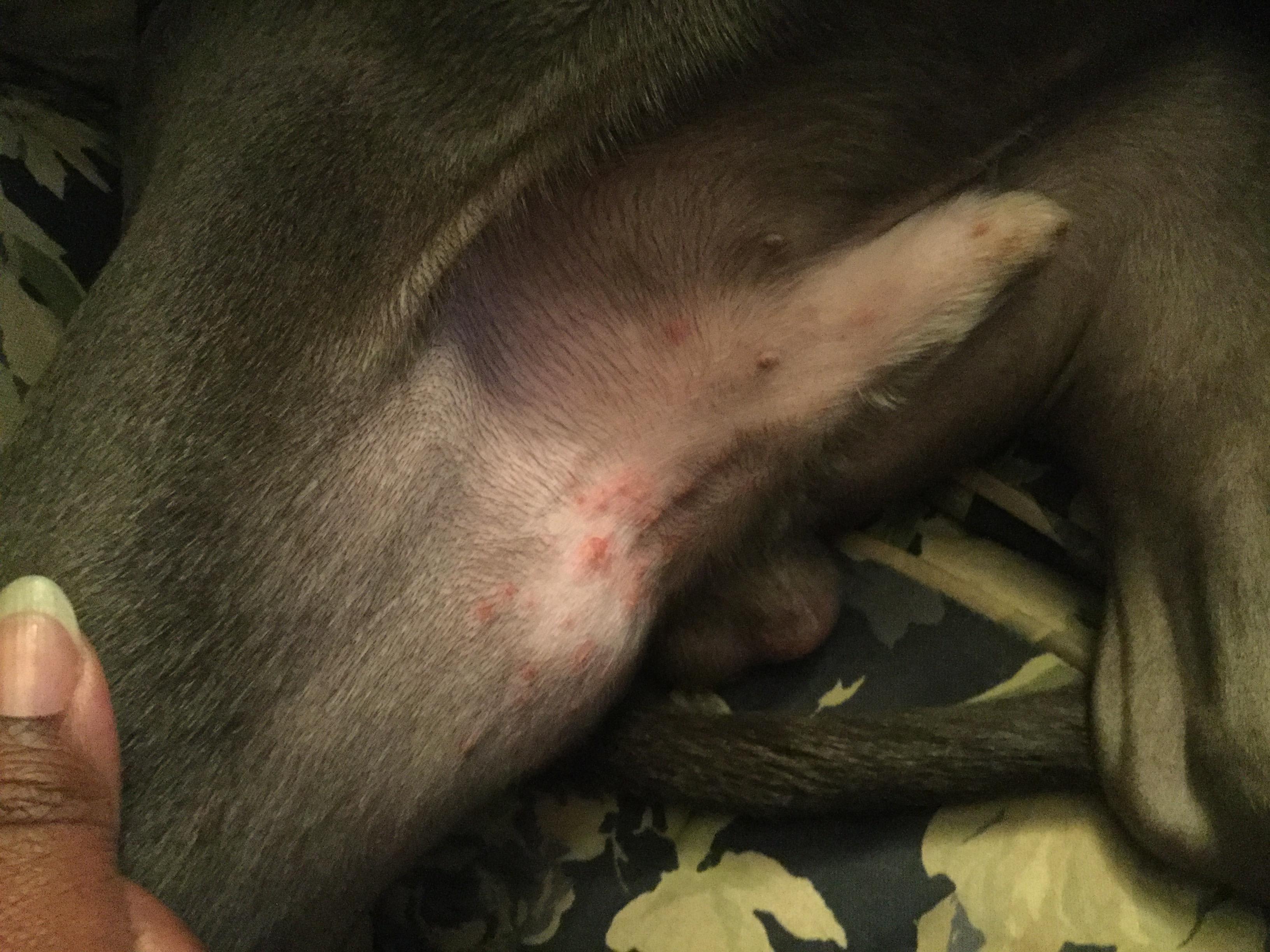 Question details sensitive content