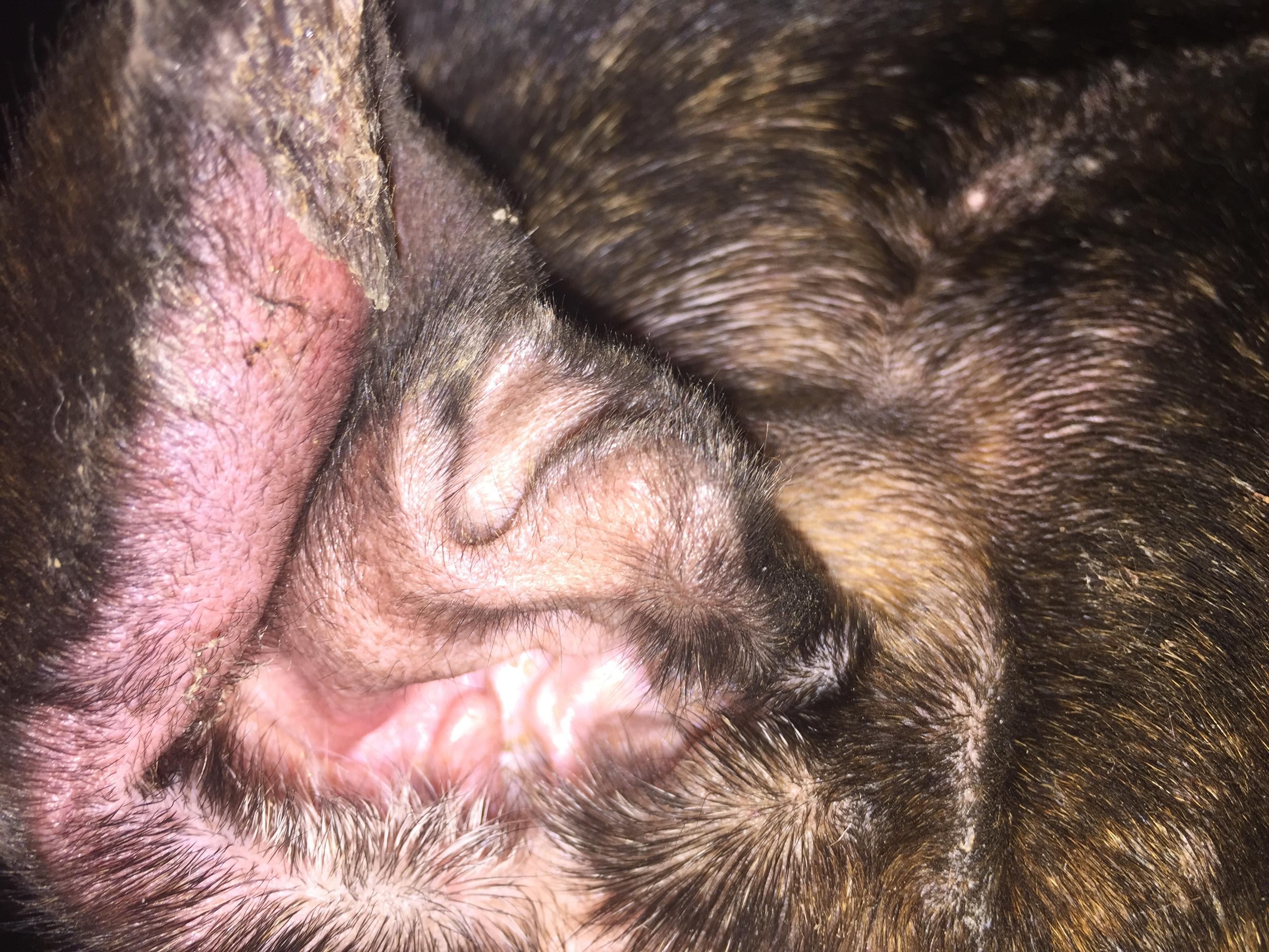 Question details sensitive content