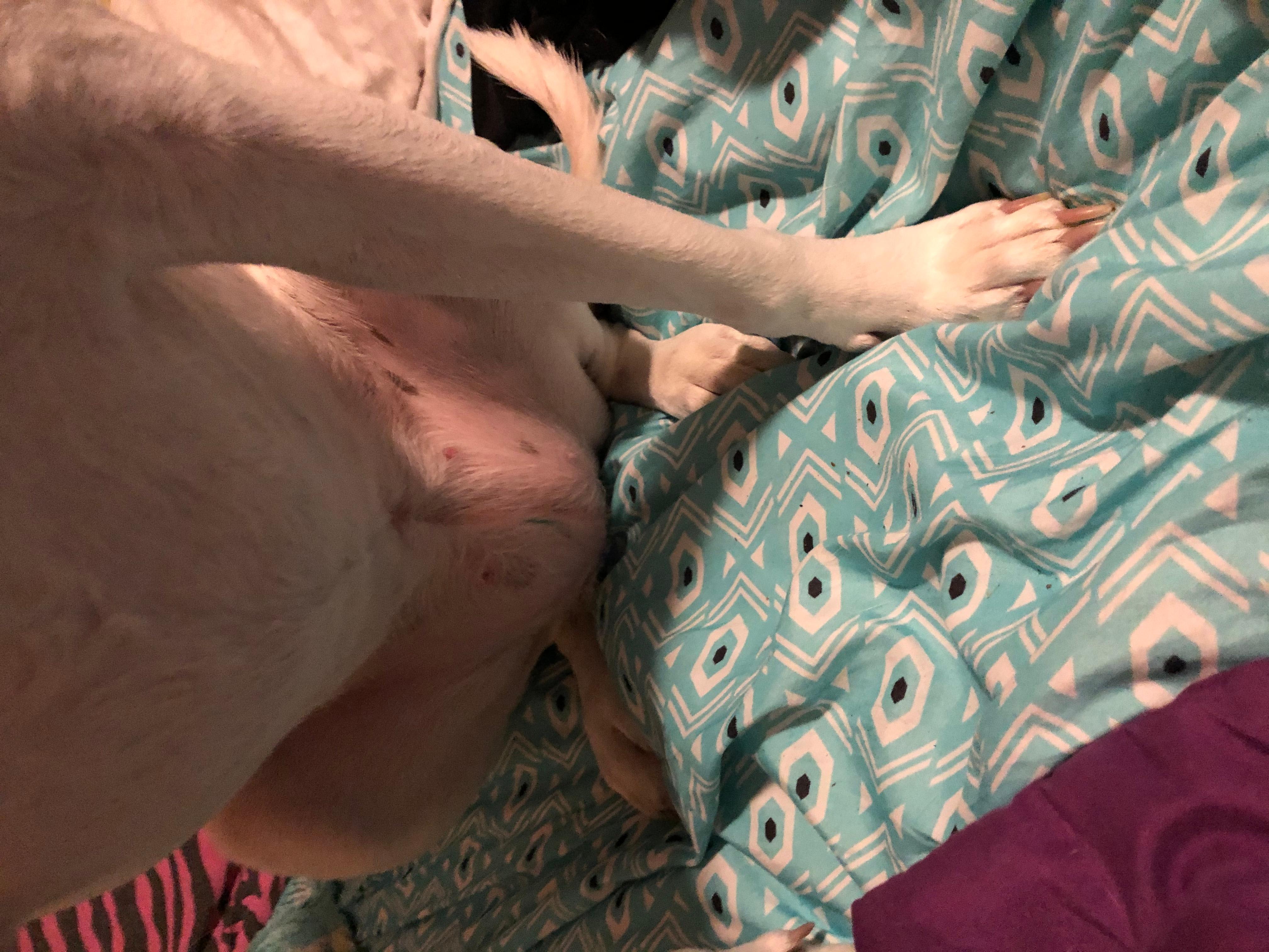 Question details sensitive content